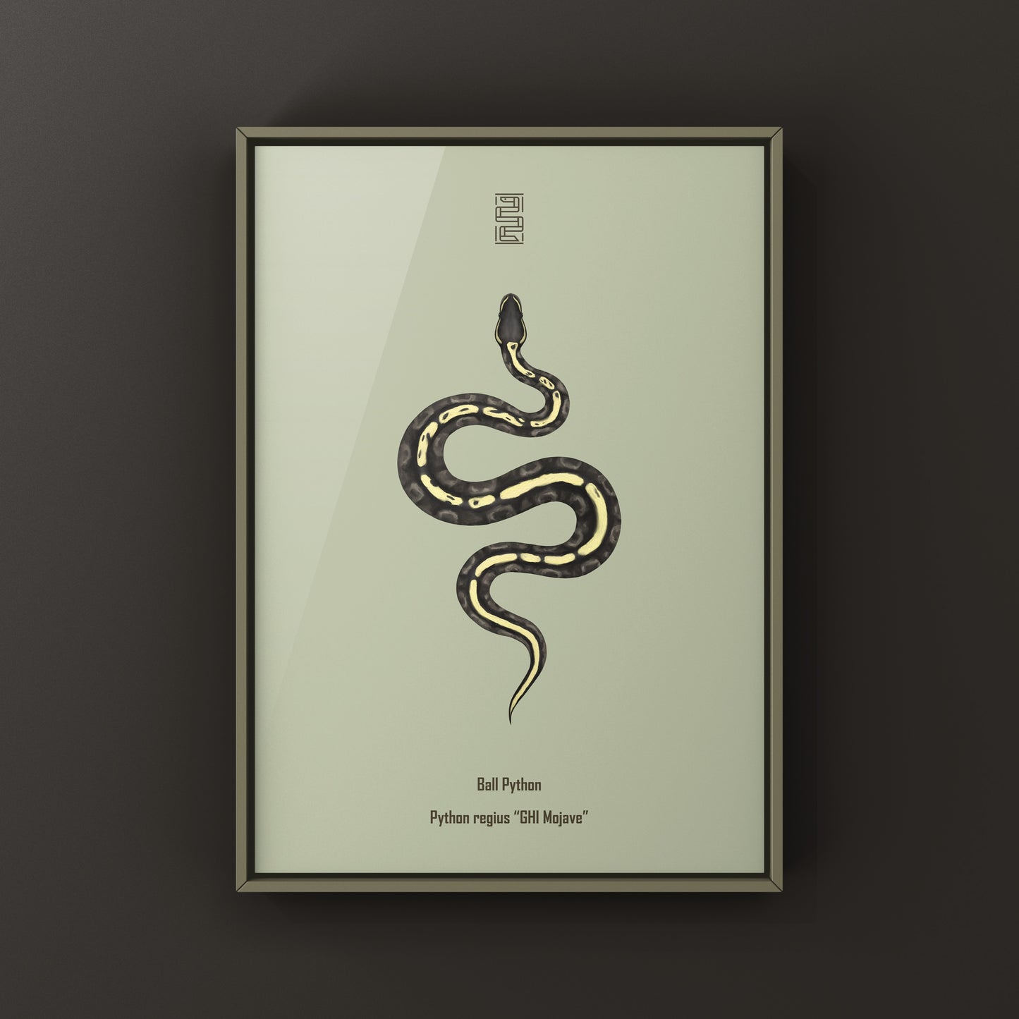 GHI Mojave Ball Python Art Print from The Silk Ranch