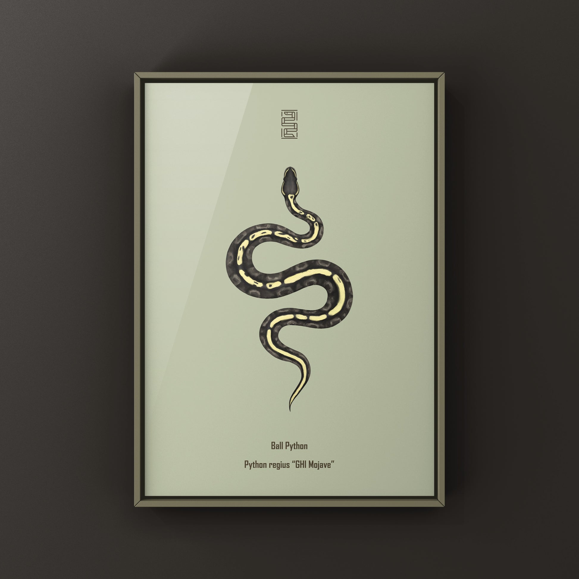 GHI Mojave Ball Python Art Print from The Silk Ranch