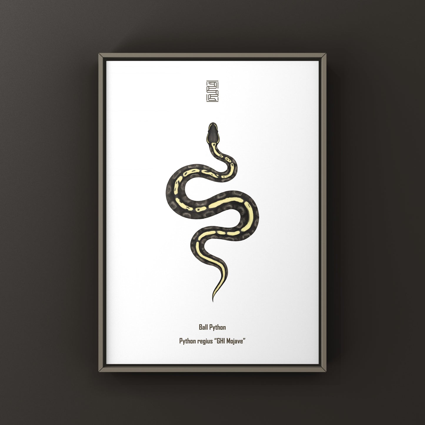 GHI Mojave Ball Python Art Print from The Silk Ranch