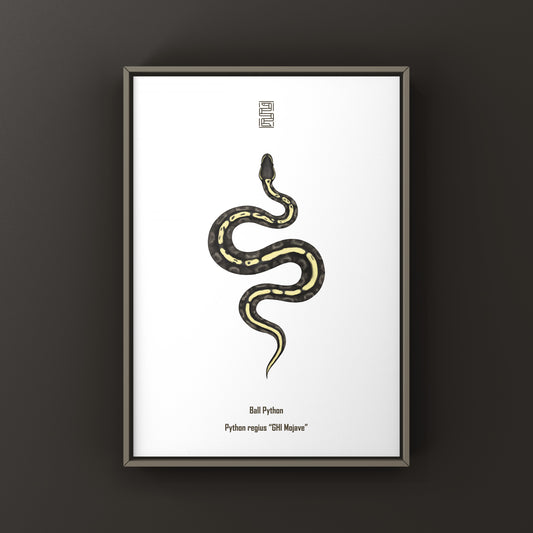 GHI Mojave Ball Python Art Print from The Silk Ranch