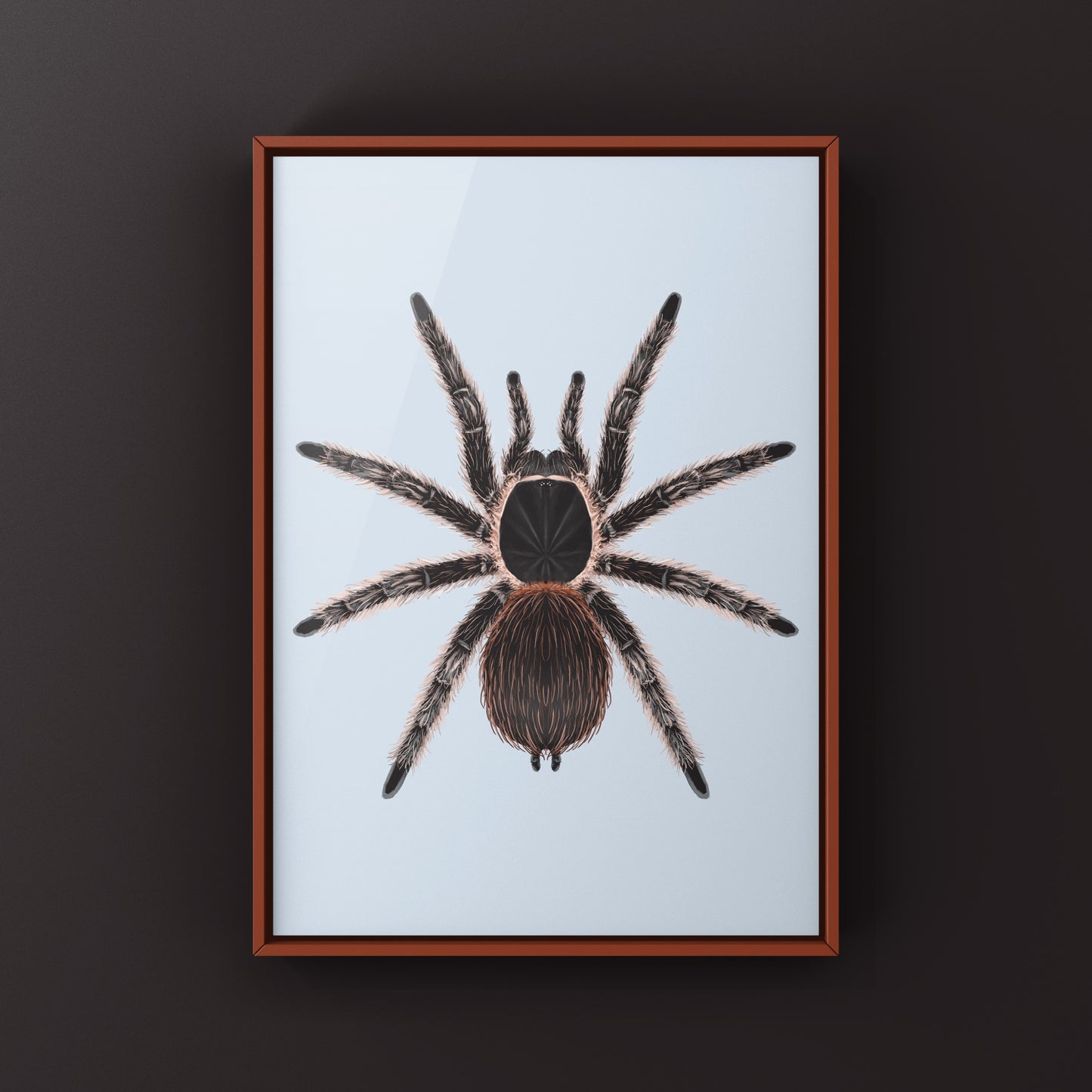 Salmon Pink Birdeater Tarantula (Lasiodora parahybana) Photographic Art Print from The Silk Ranch