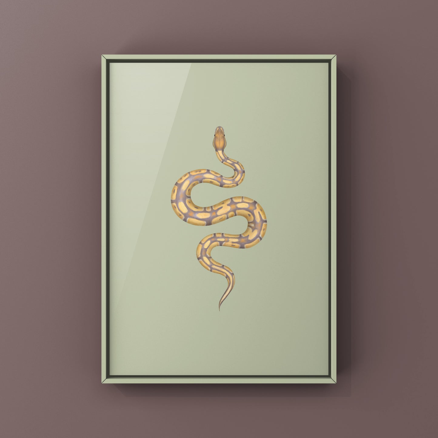 Ultramel Ball Python Art Print from The Silk Ranch