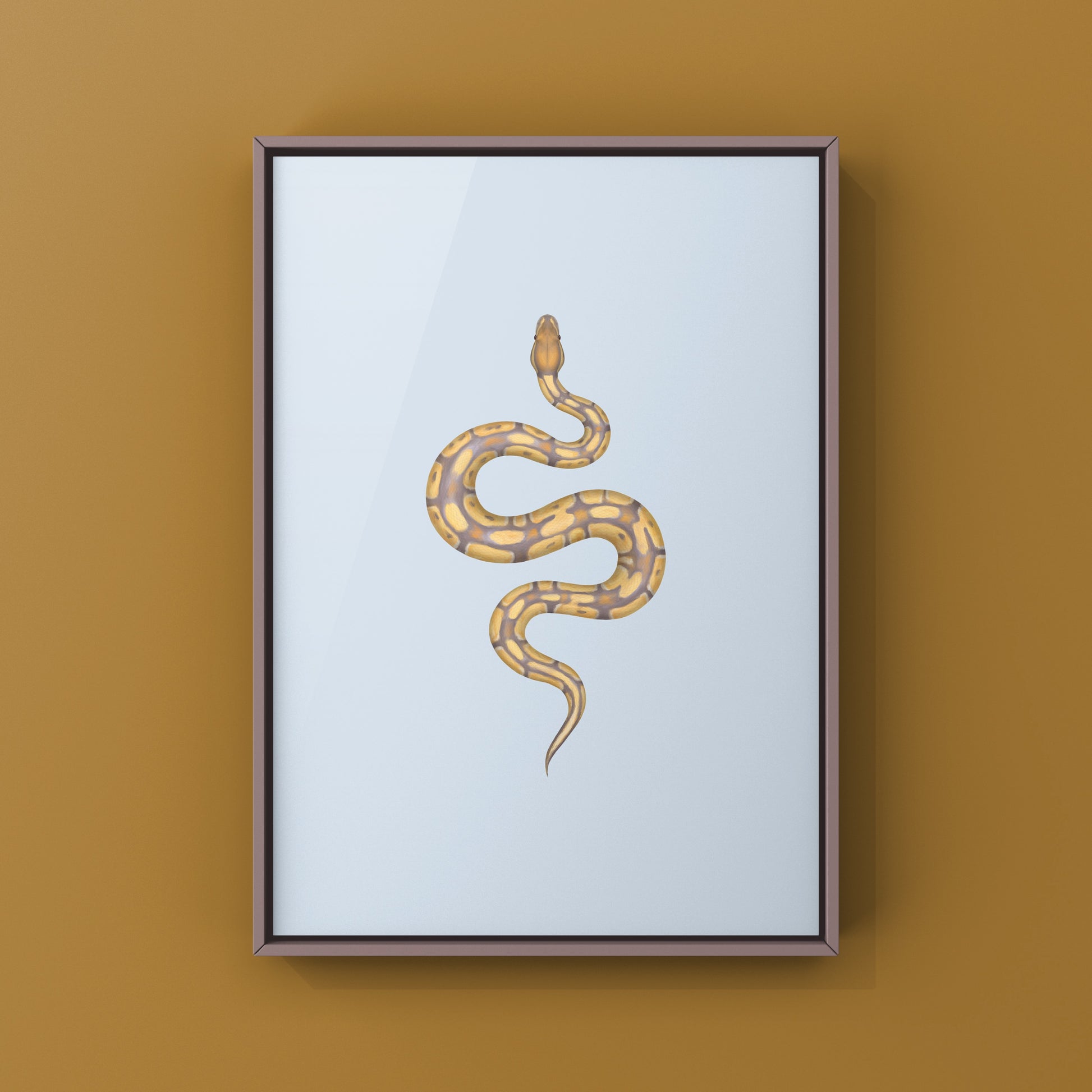 Ultramel Ball Python Art Print from The Silk Ranch