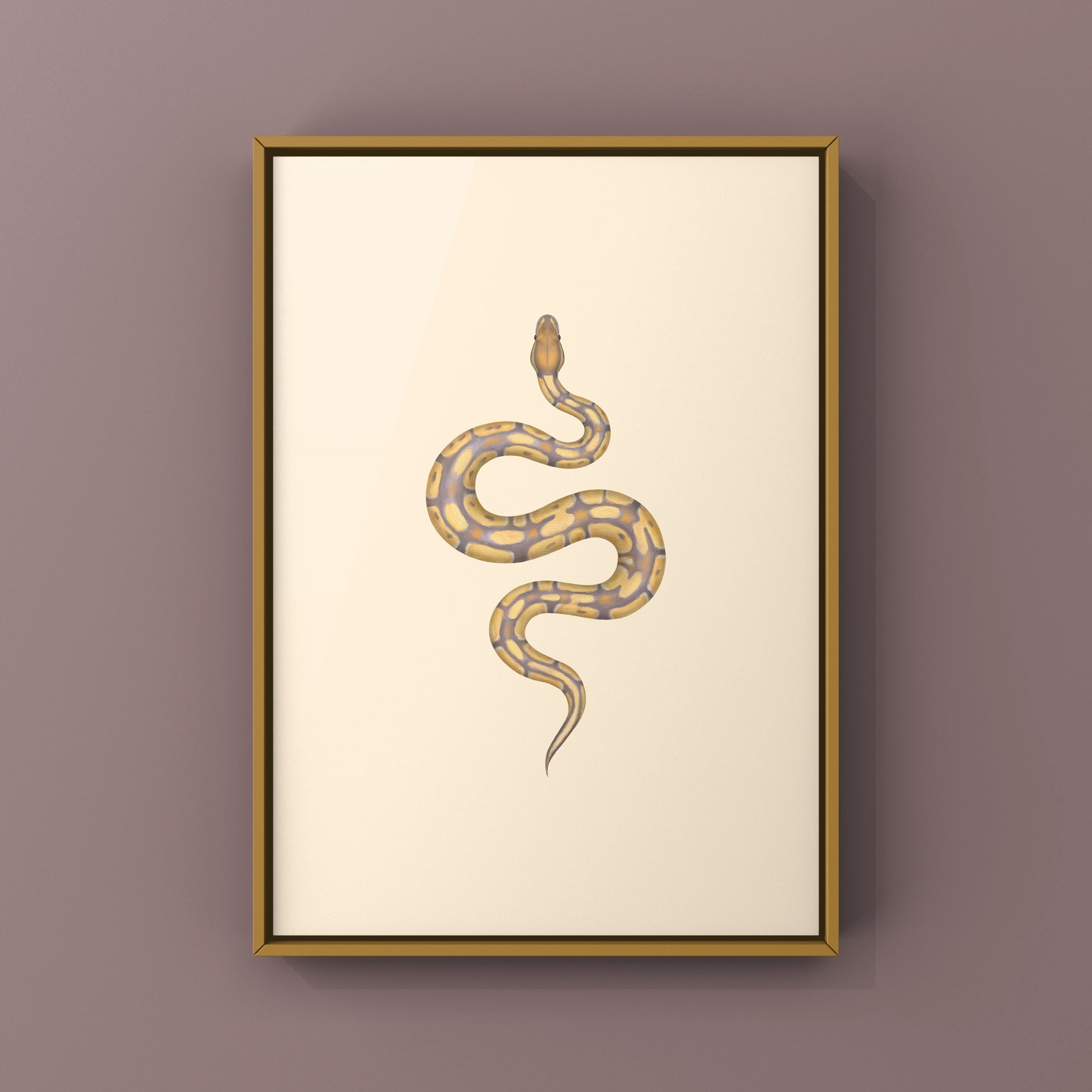 Ultramel Ball Python Art Print from The Silk Ranch