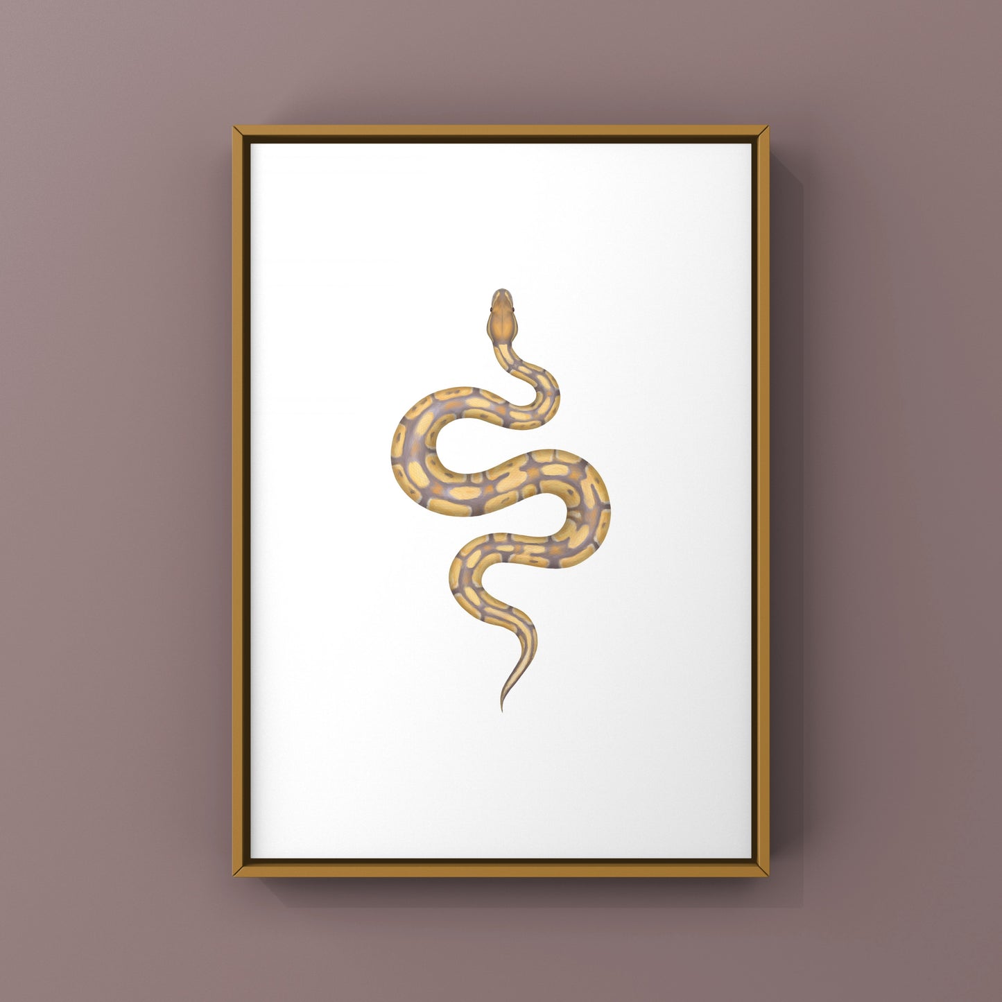 Ultramel Ball Python Art Print from The Silk Ranch