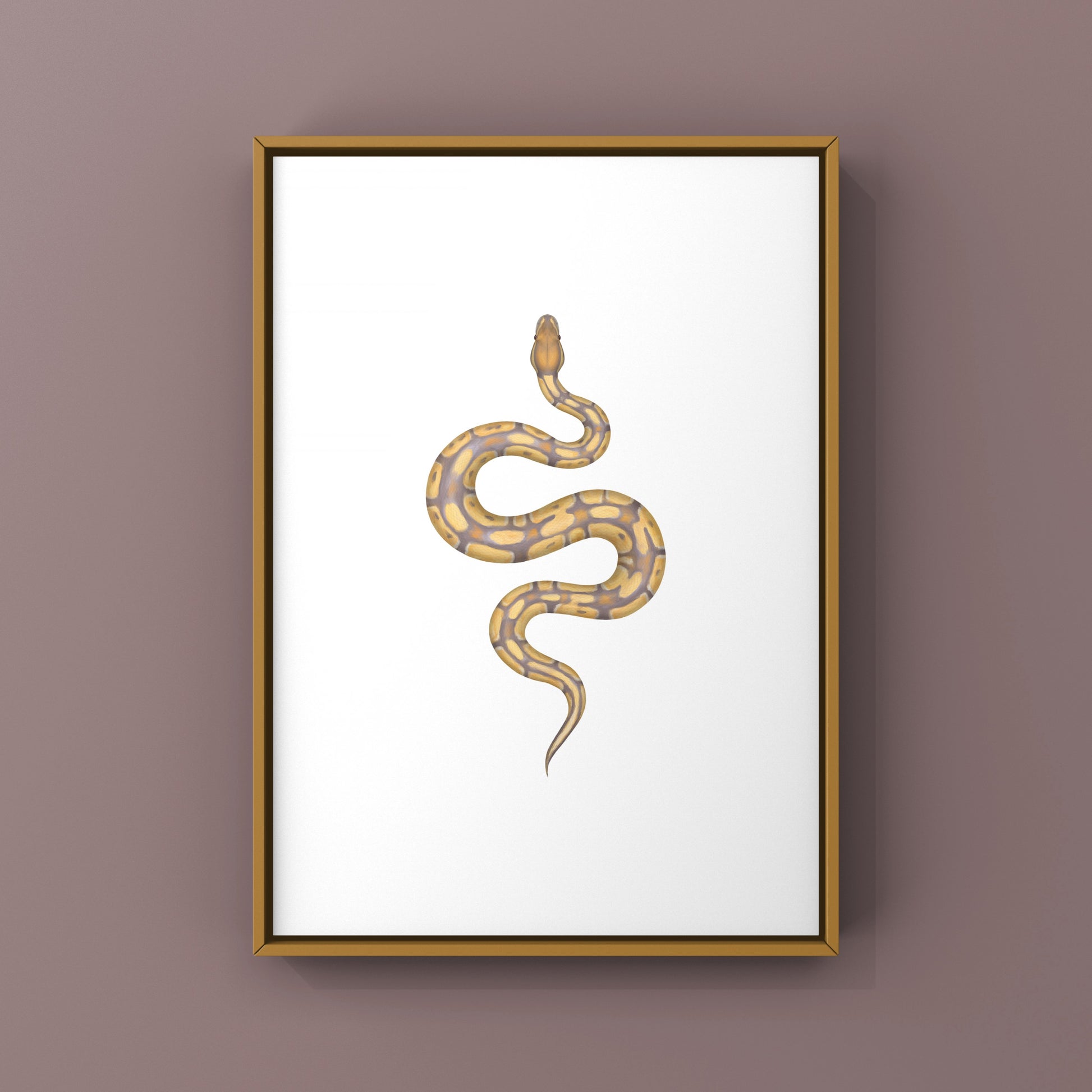 Ultramel Ball Python Art Print from The Silk Ranch