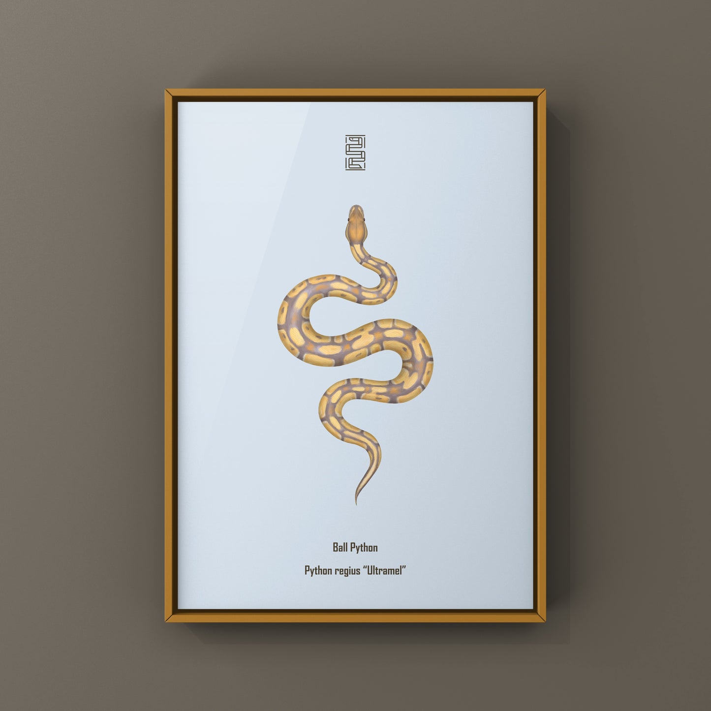 Ultramel Ball Python Art Print from The Silk Ranch
