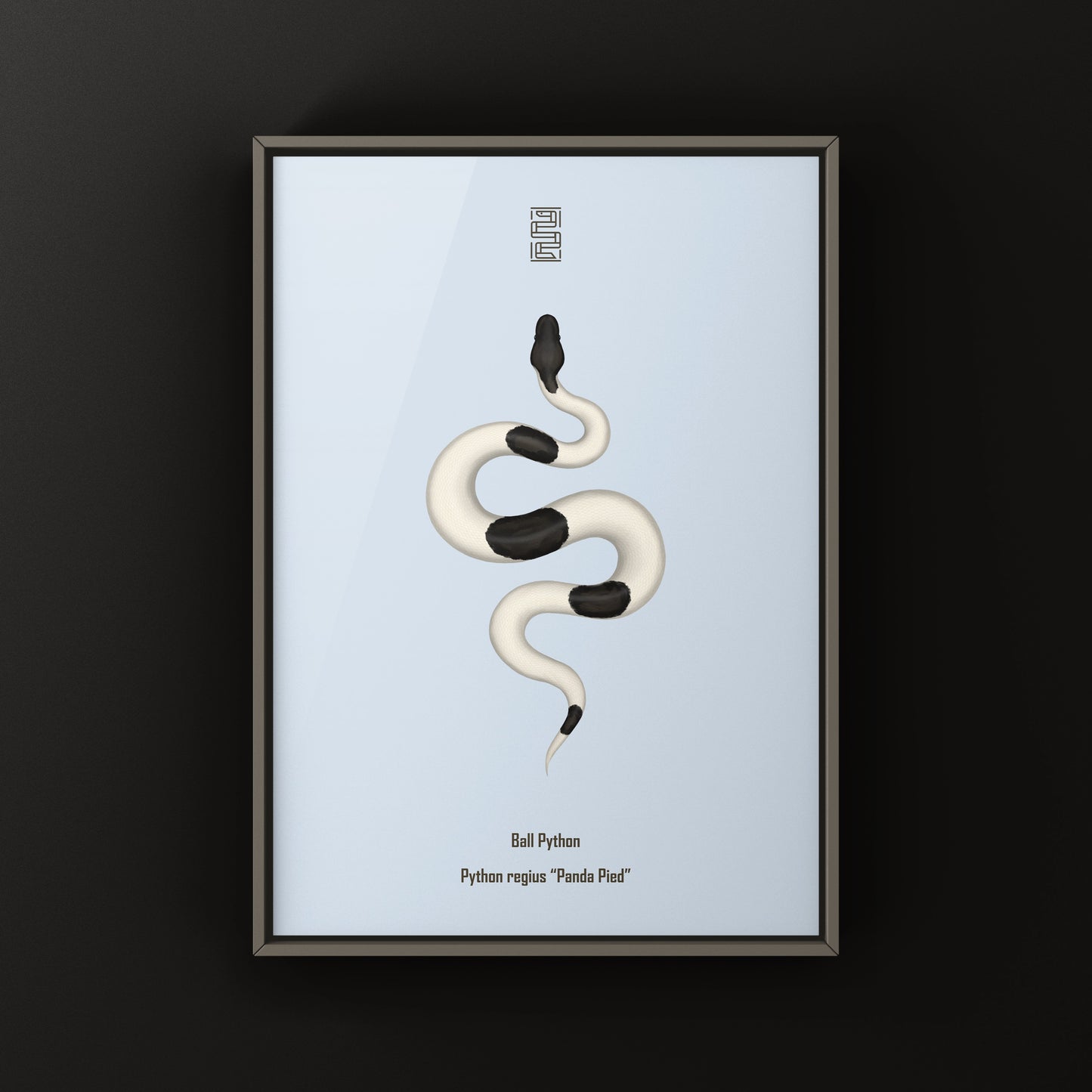 Panda Pied Ball Python Art Print from The Silk Ranch