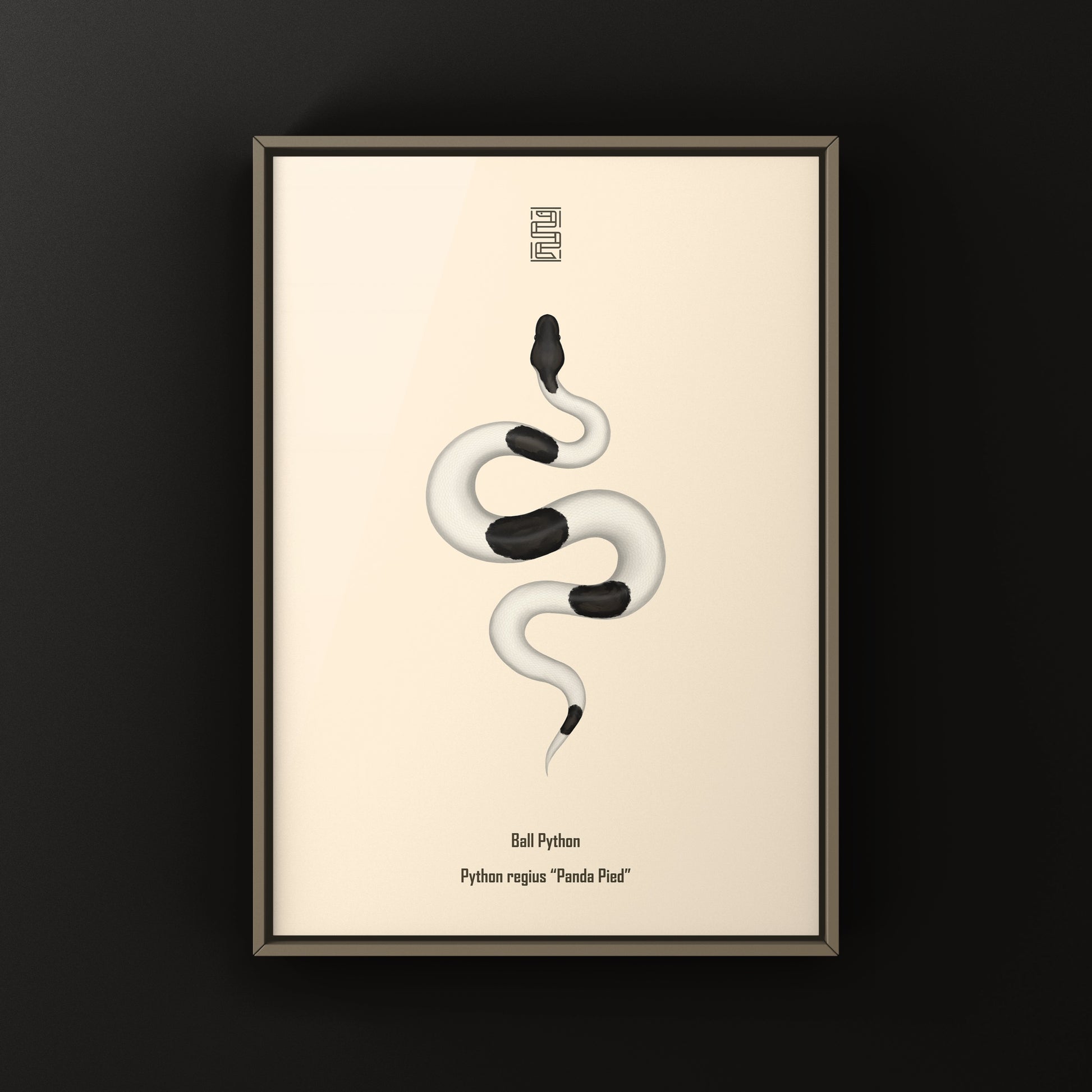 Panda Pied Ball Python Art Print from The Silk Ranch