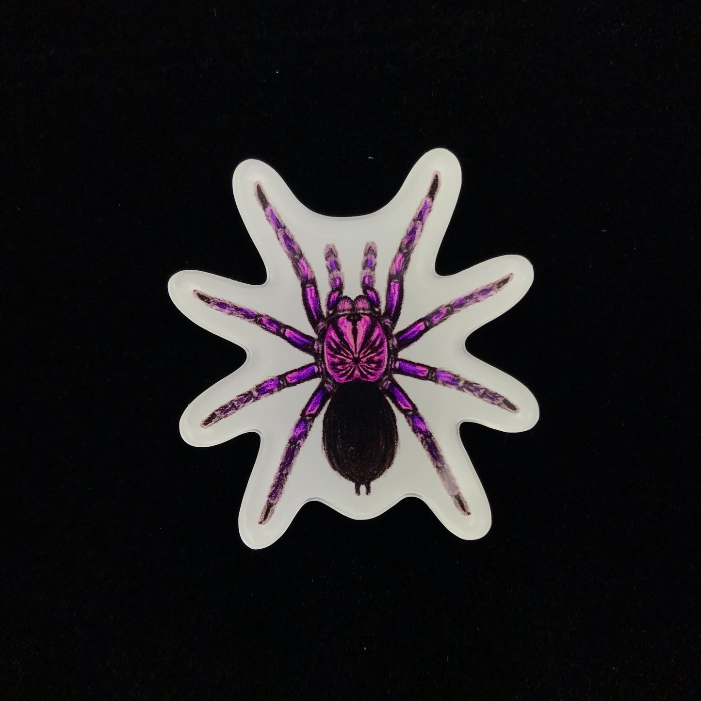 Purple Bloom Tarantula Acrylic Magnet Enclosure Tag (Pamphobeteus sp. Machala) from The Silk Ranch / The Morph Archive