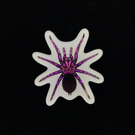 Purple Bloom Tarantula Acrylic Magnet Enclosure Tag (Pamphobeteus sp. Machala) from The Silk Ranch / The Morph Archive