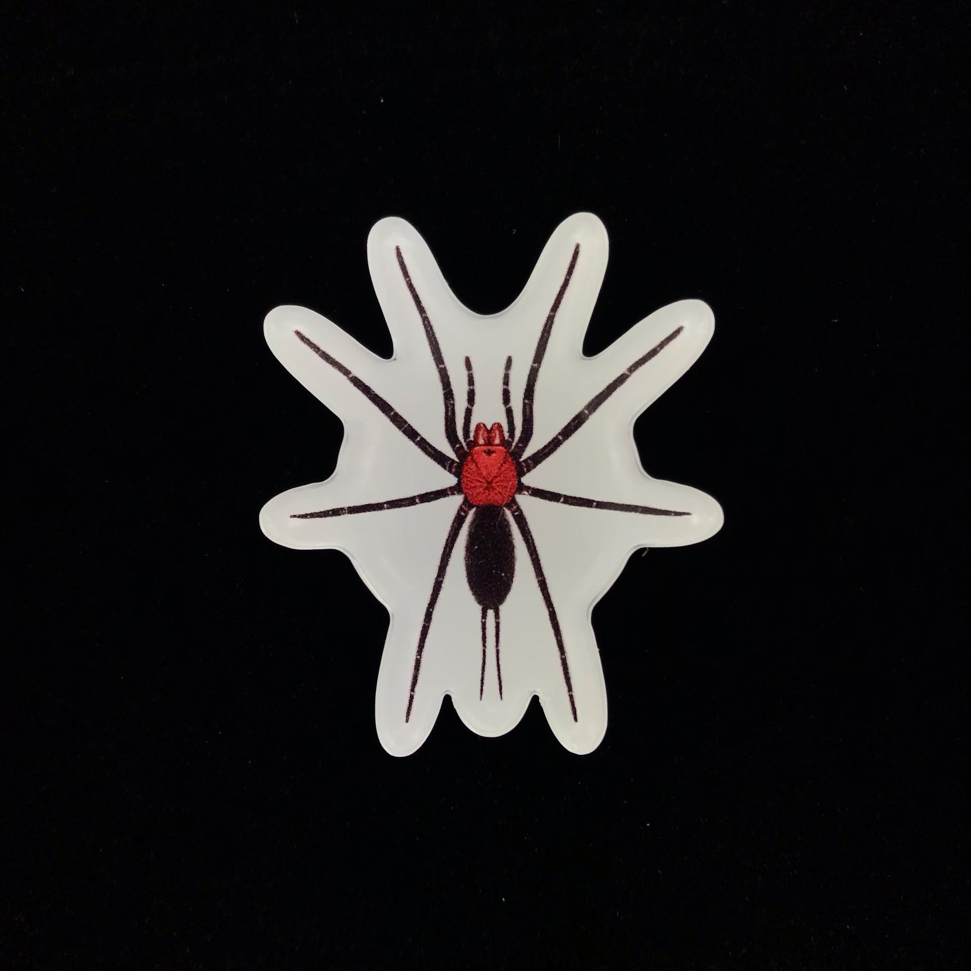 Devil's Curtain Web Spider Acrylic Magnet Enclosure Tag (Harmonicon oiapoqueae) from The Silk Ranch / The Morph Archive