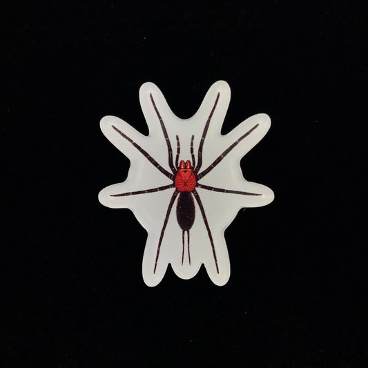 Devil's Curtain Web Spider Acrylic Magnet Enclosure Tag (Harmonicon oiapoqueae) from The Silk Ranch / The Morph Archive