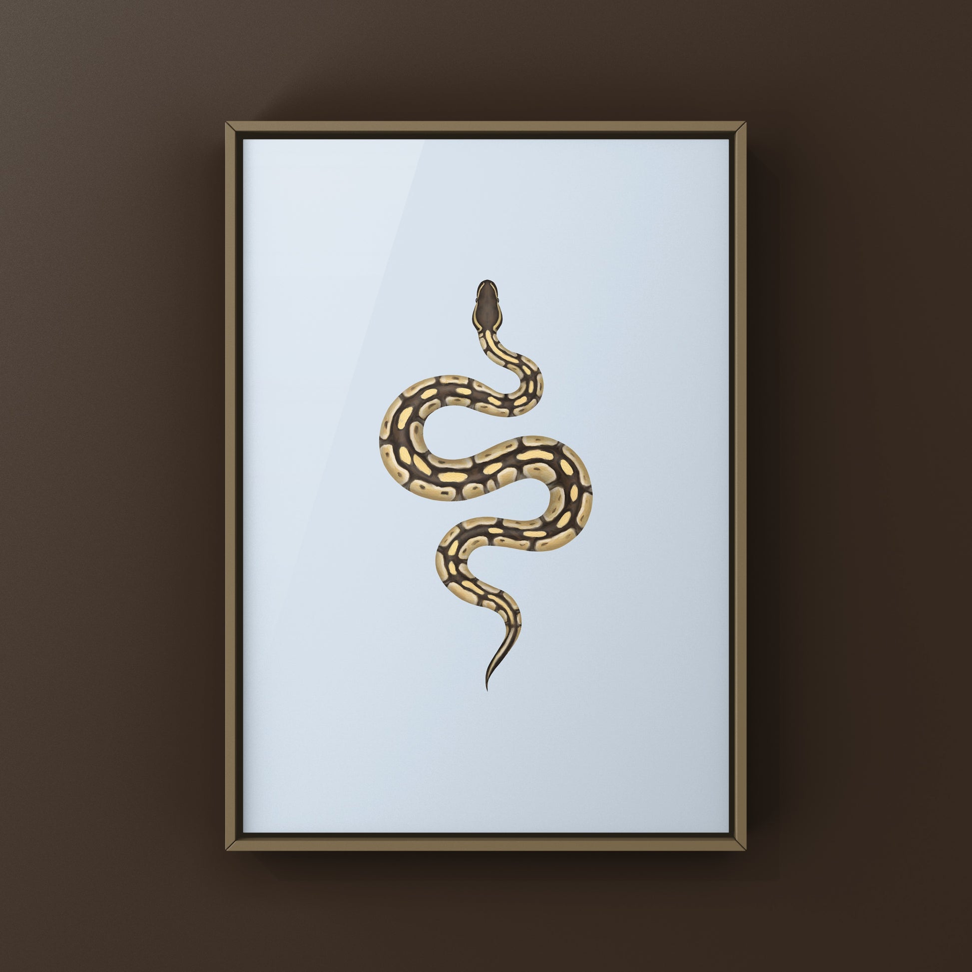 Butter Ball Python Art Print from The Silk Ranch
