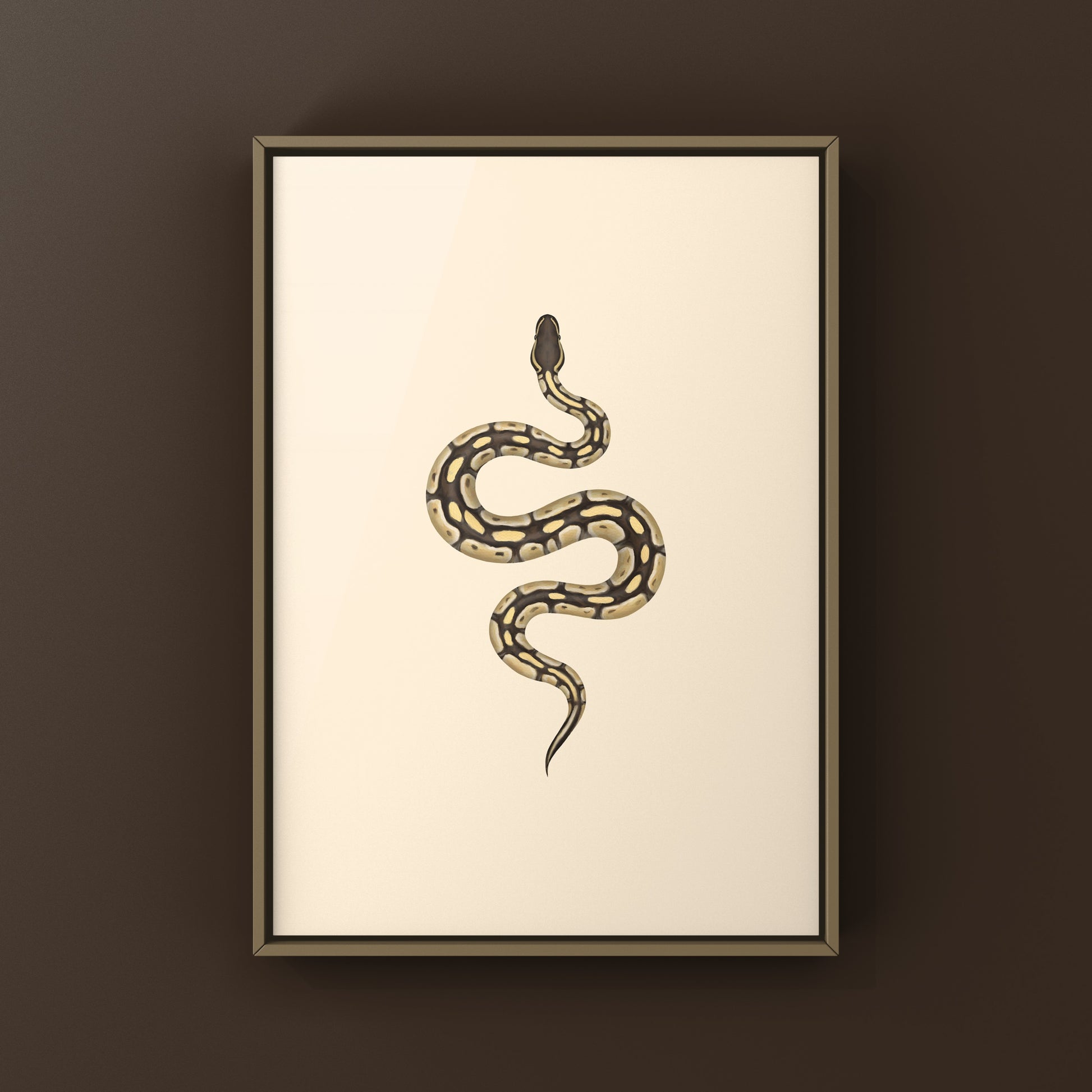 Butter Ball Python Art Print from The Silk Ranch