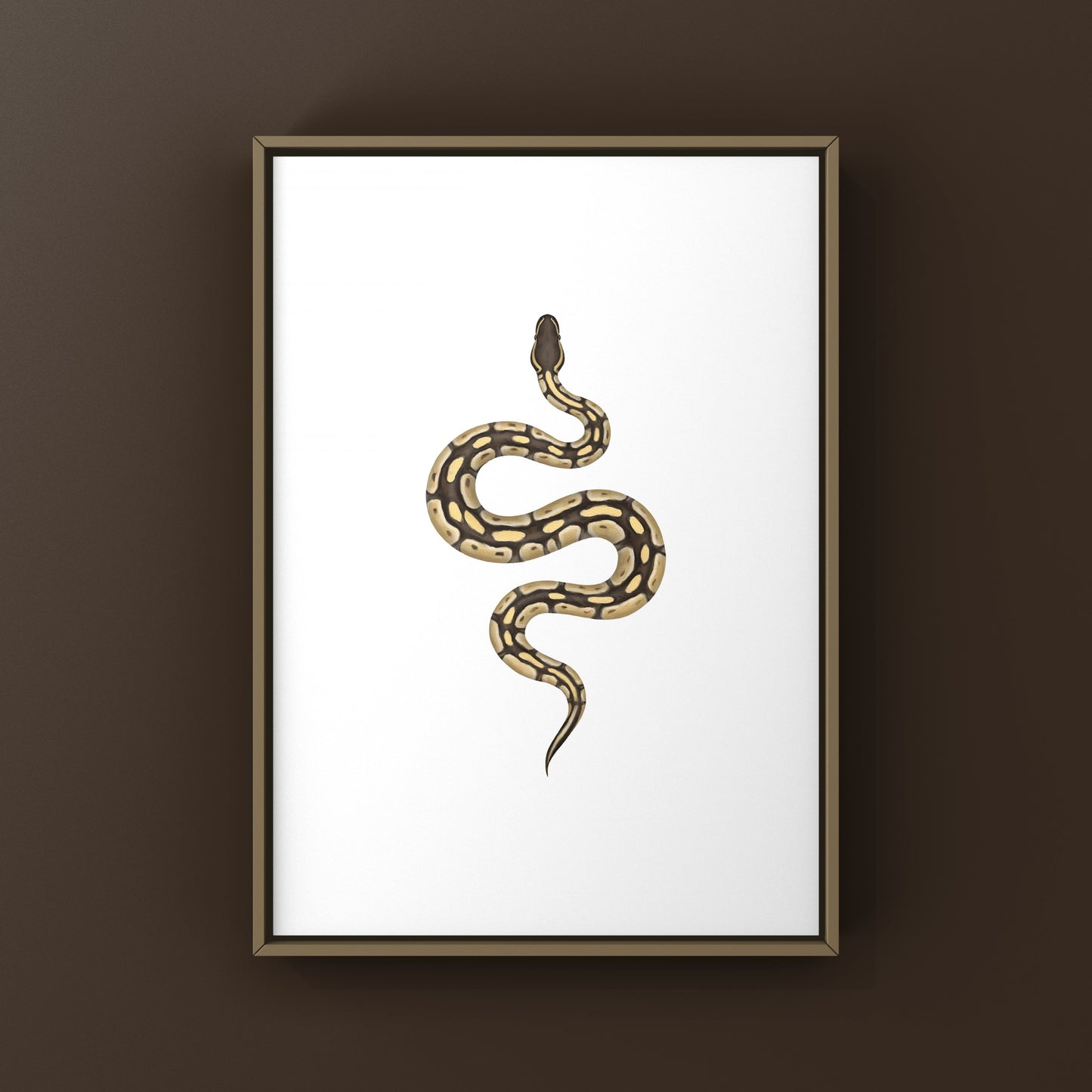 Butter Ball Python Art Print from The Silk Ranch