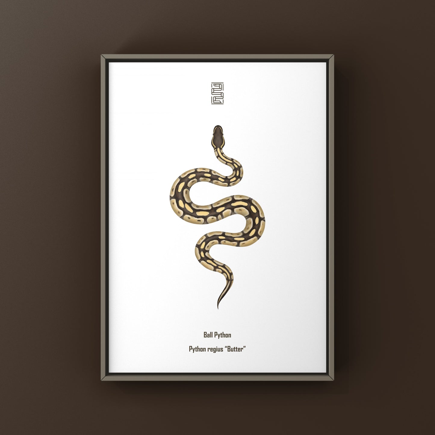 Butter Ball Python Art Print from The Silk Ranch