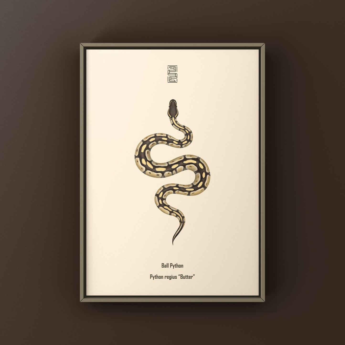 Butter Ball Python Art Print from The Silk Ranch