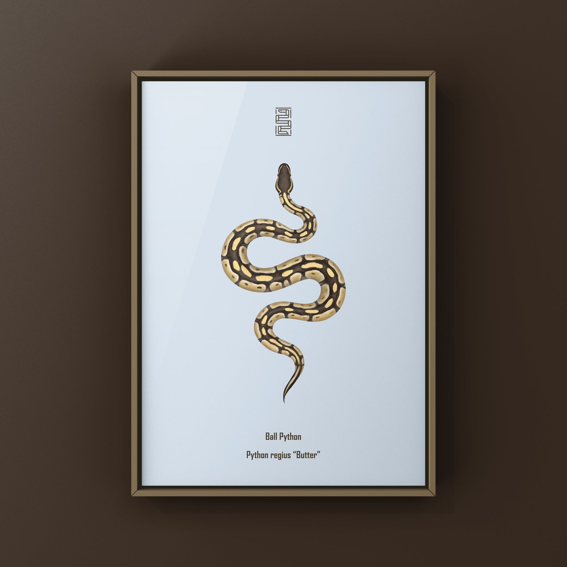 Butter Ball Python Art Print from The Silk Ranch