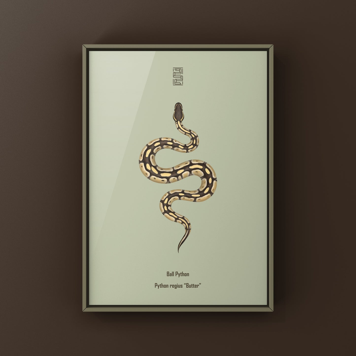 Butter Ball Python Art Print from The Silk Ranch