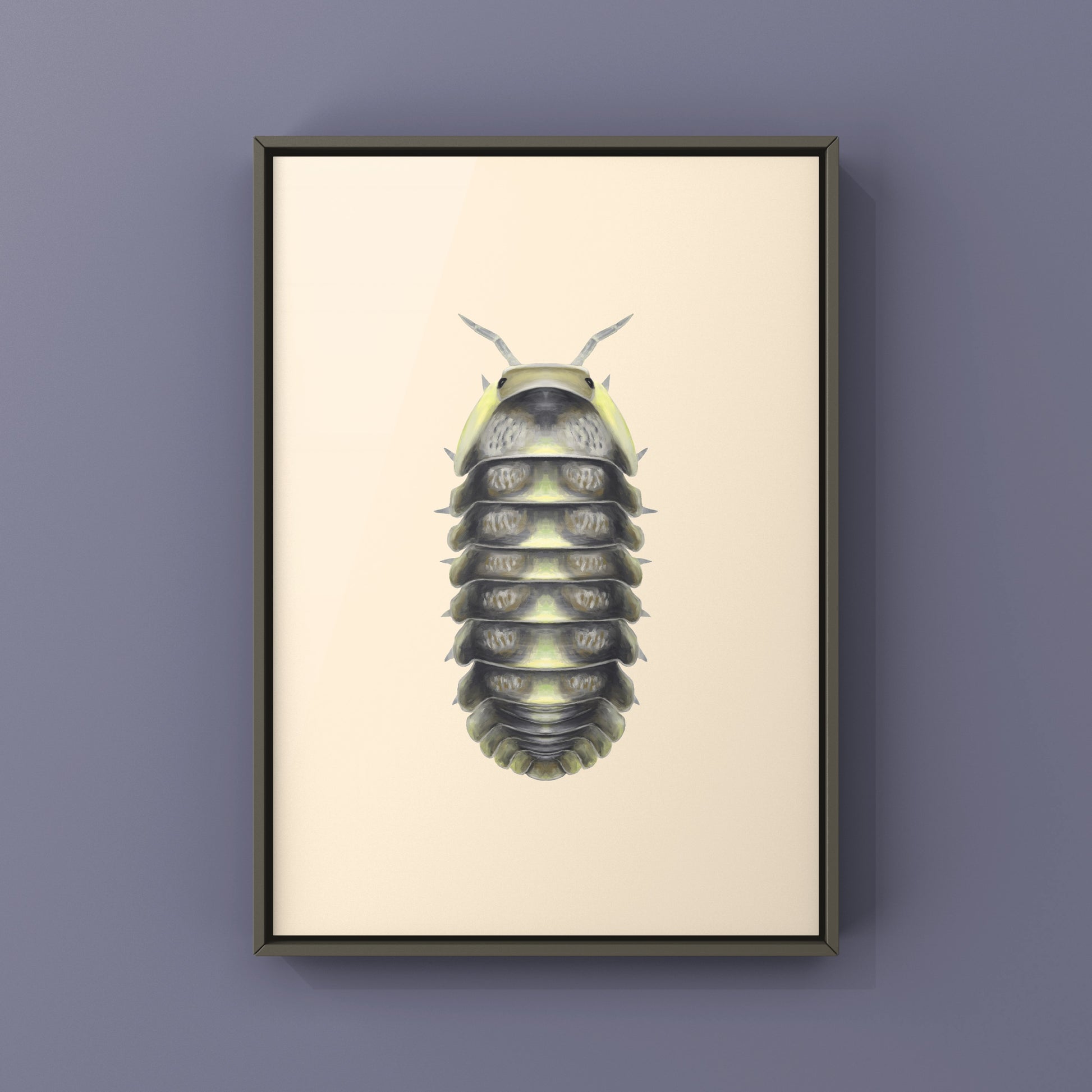 Green Laser Isopod (Cubaris sp. Green Laser) Art Print from The Silk Ranch