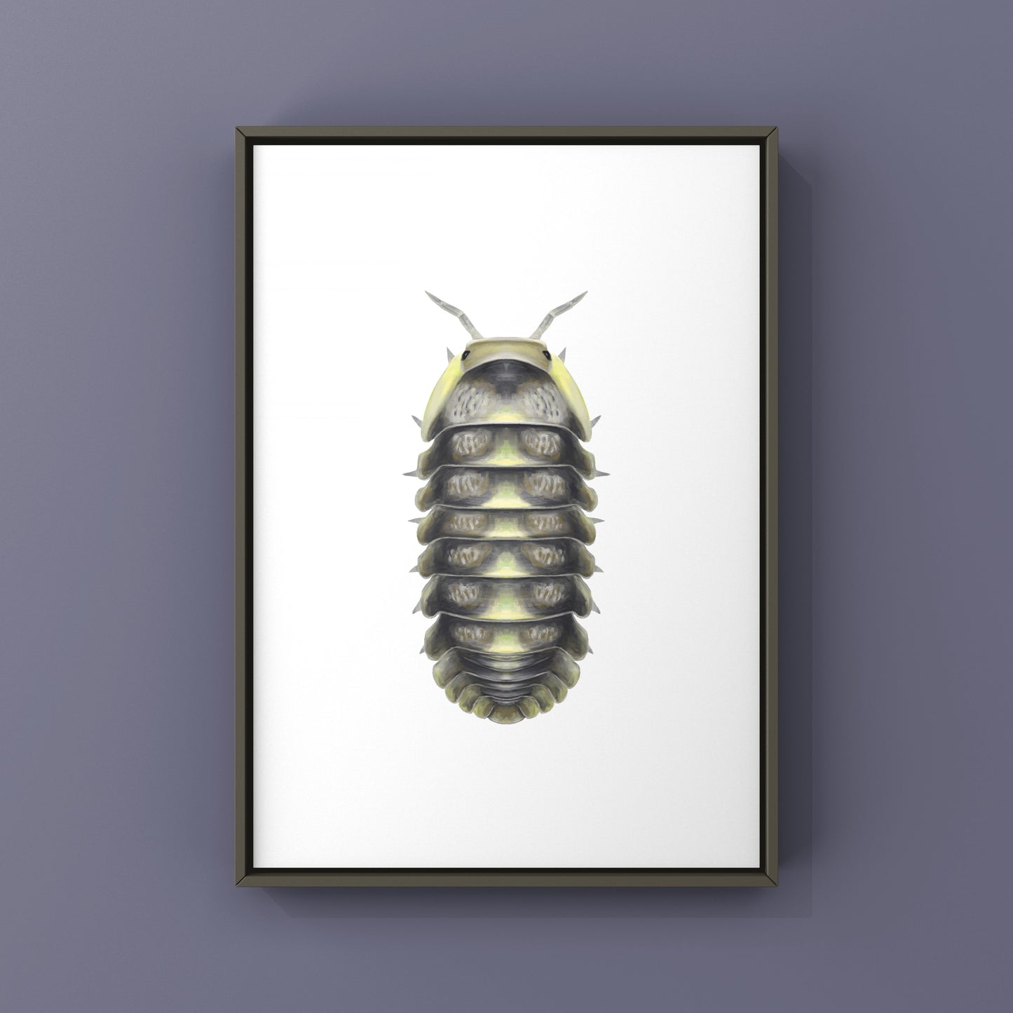 Green Laser Isopod (Cubaris sp. Green Laser) Art Print from The Silk Ranch