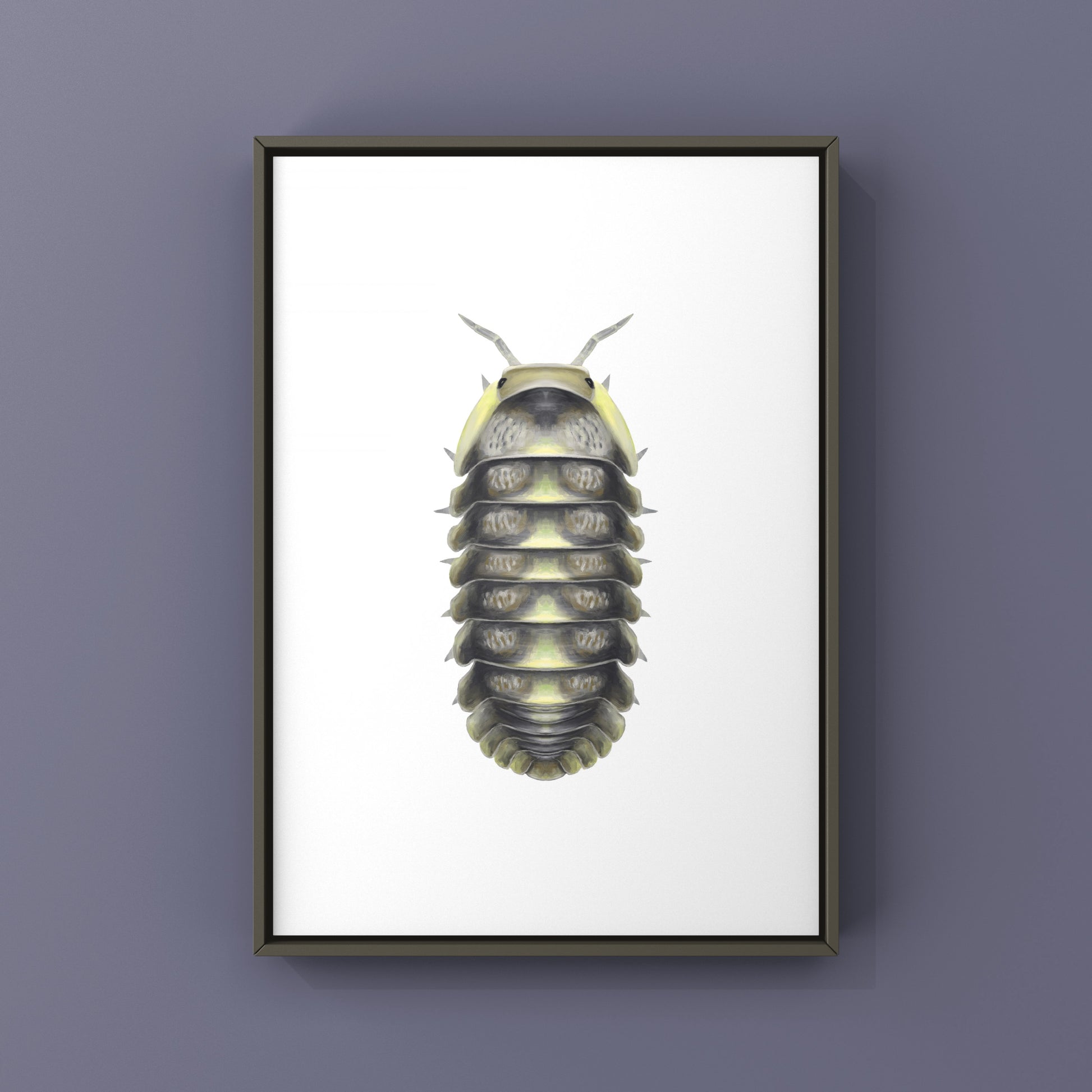 Green Laser Isopod (Cubaris sp. Green Laser) Art Print from The Silk Ranch