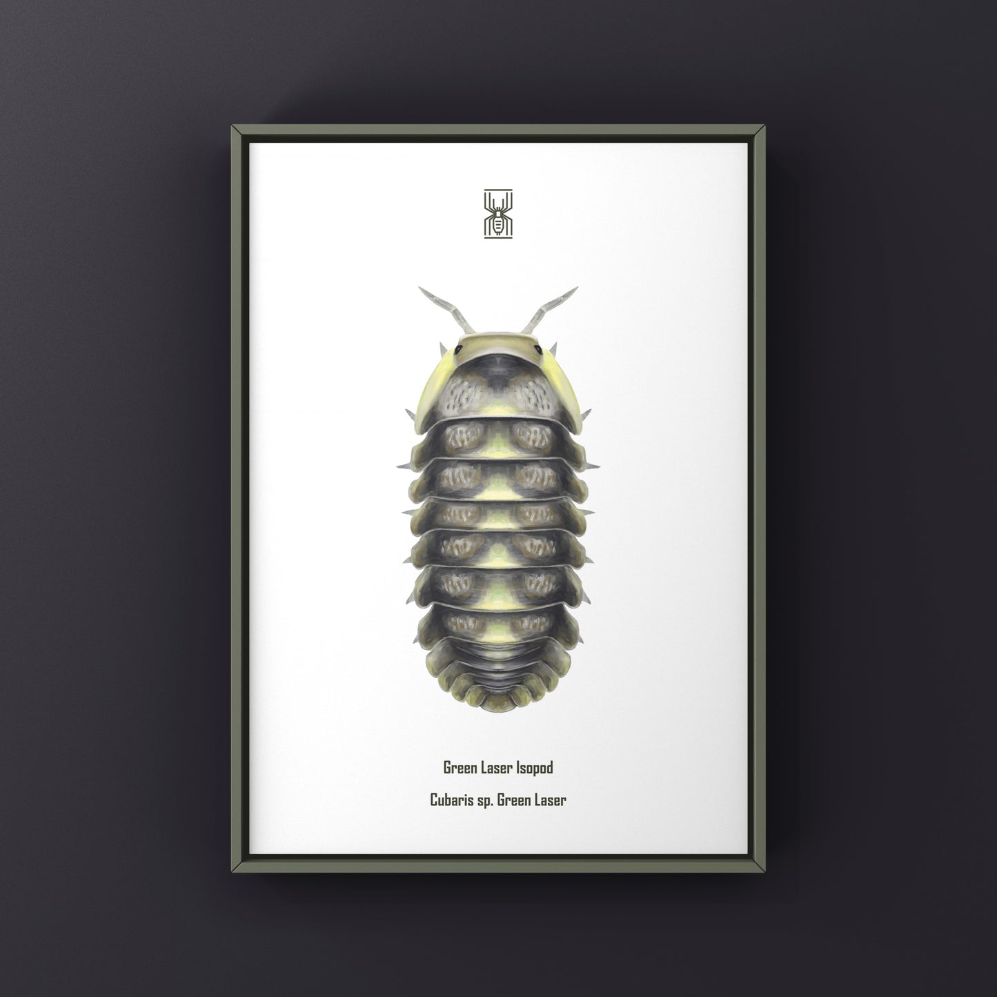 Green Laser Isopod (Cubaris sp. Green Laser) Art Print from The Silk Ranch