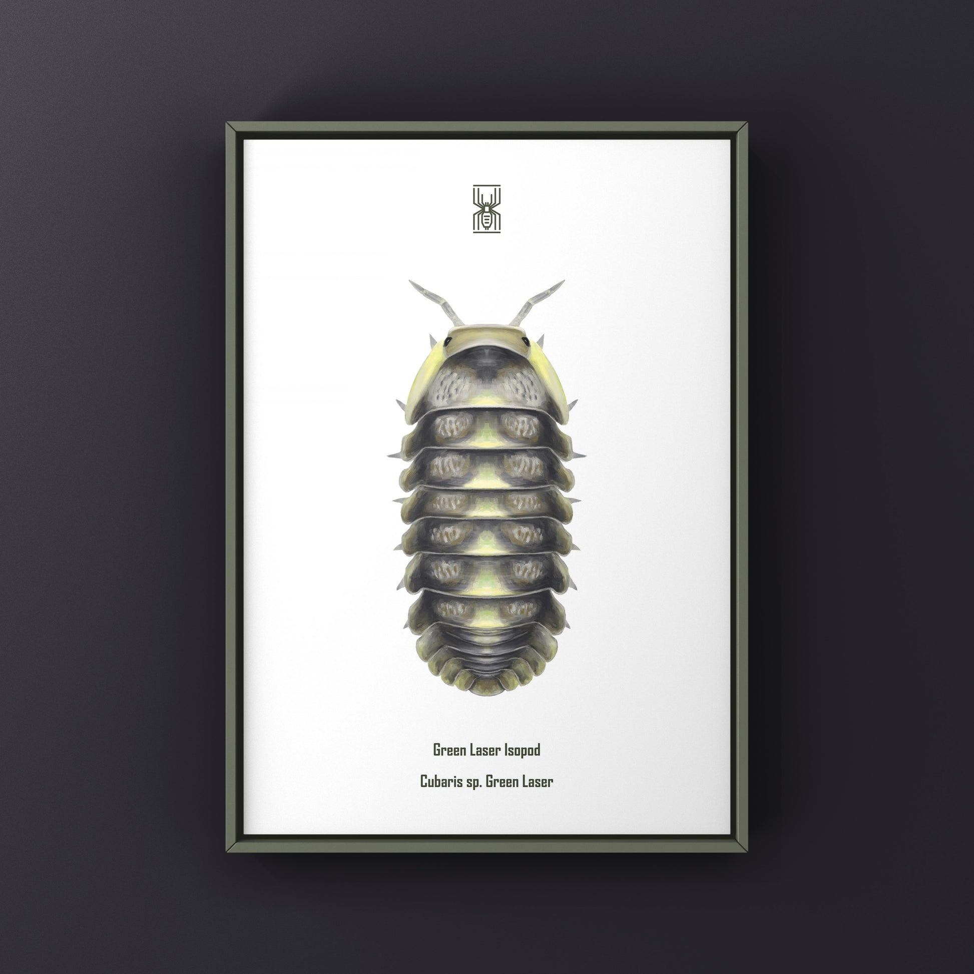 Green Laser Isopod (Cubaris sp. Green Laser) Art Print from The Silk Ranch