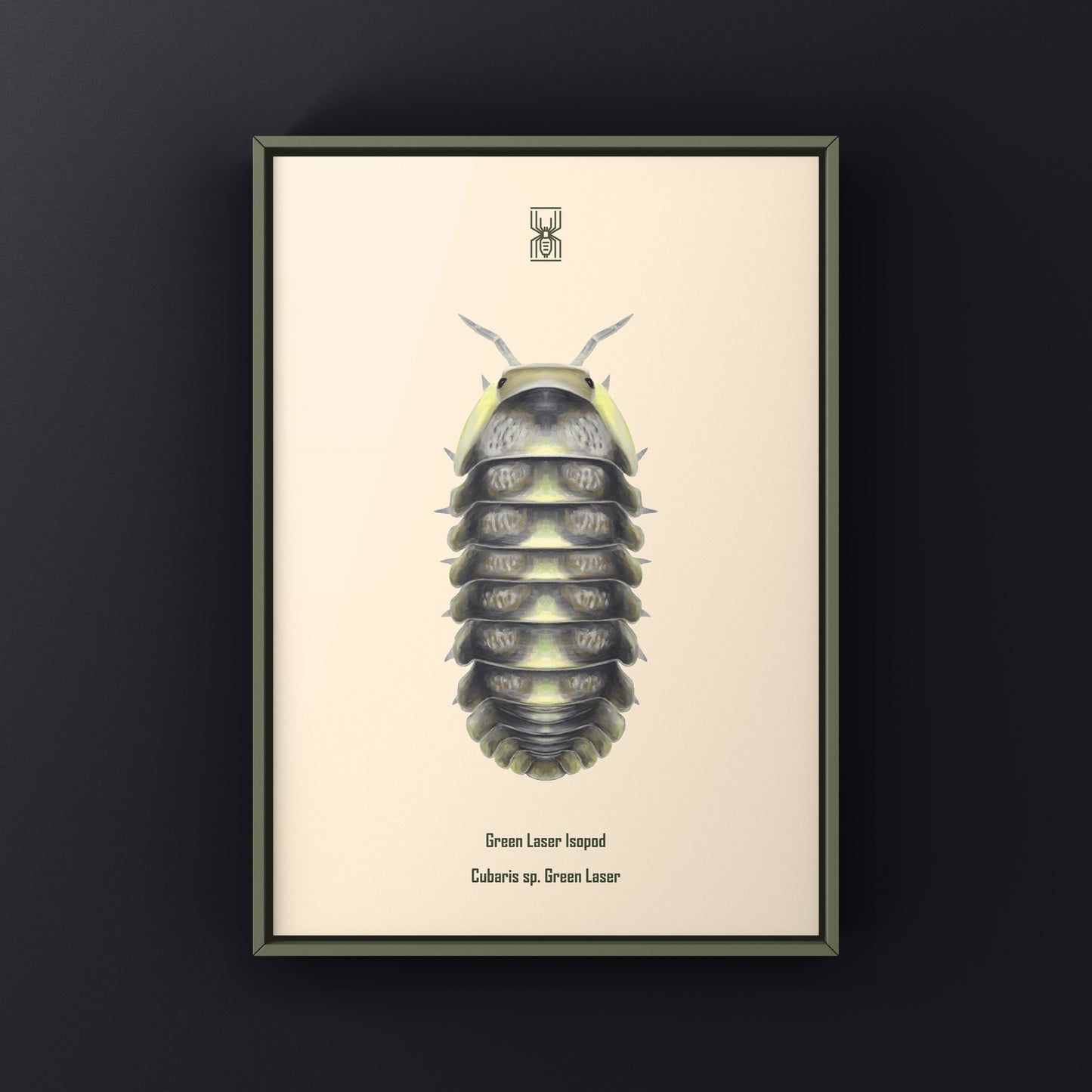 Green Laser Isopod (Cubaris sp. Green Laser) Art Print from The Silk Ranch