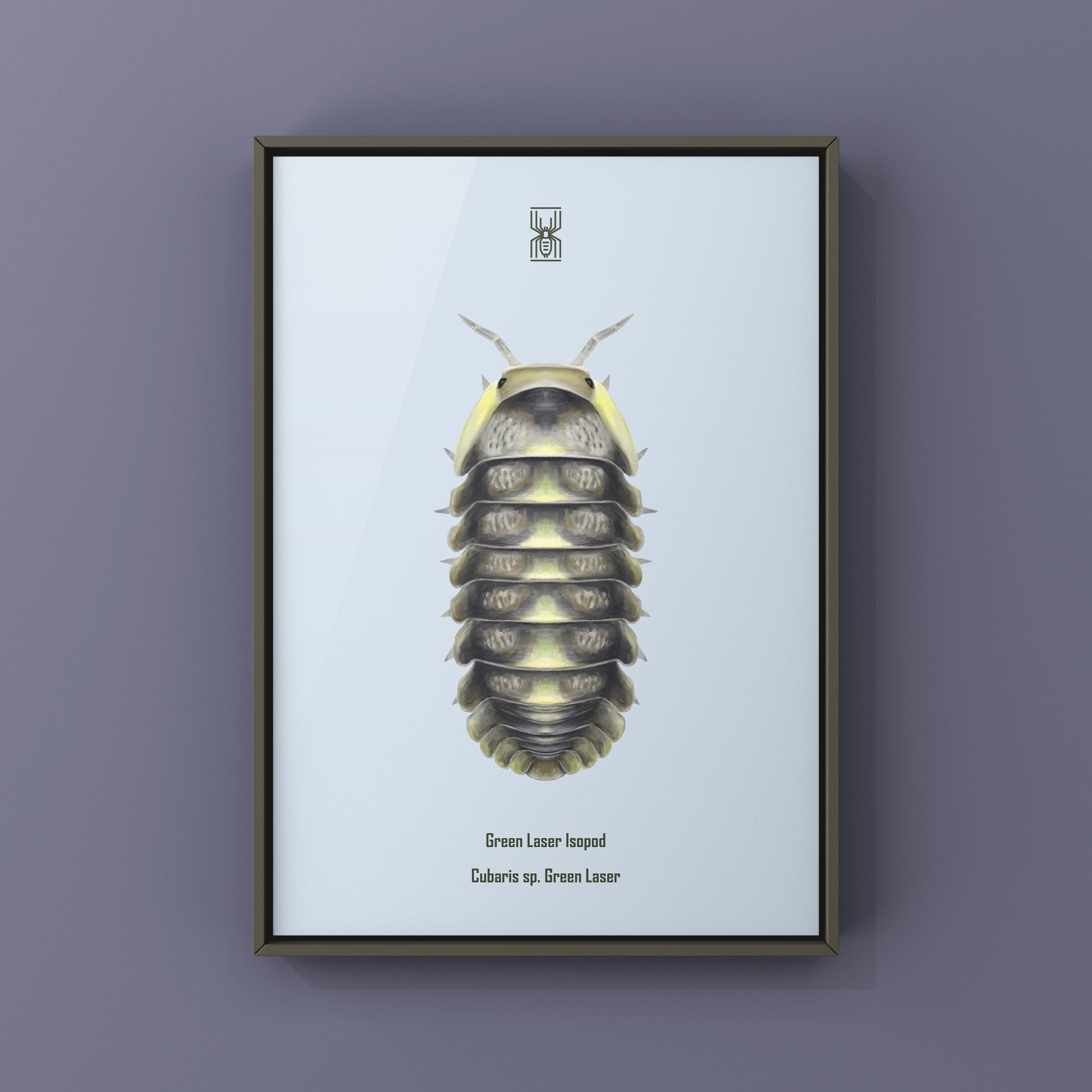 Green Laser Isopod (Cubaris sp. Green Laser) Art Print from The Silk Ranch