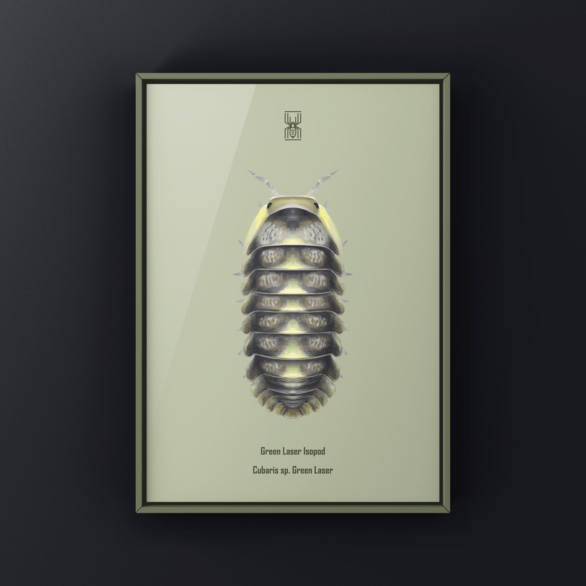Green Laser Isopod (Cubaris sp. Green Laser) Art Print from The Silk Ranch