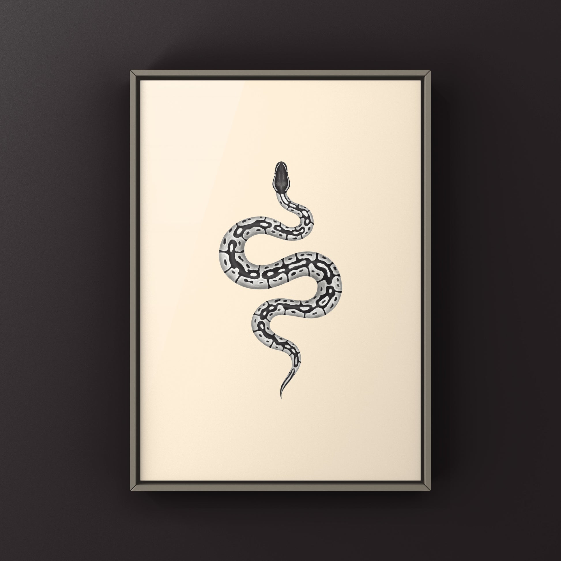 VPI Axanthic Ball Python Art Print from The Silk Ranch