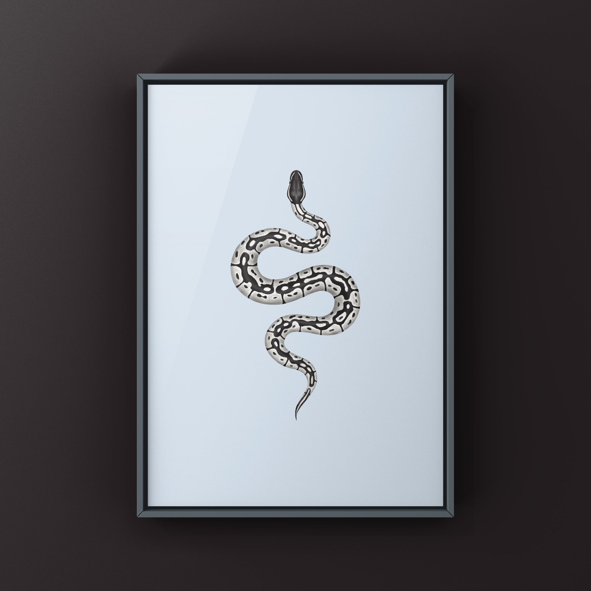 VPI Axanthic Ball Python Art Print from The Silk Ranch