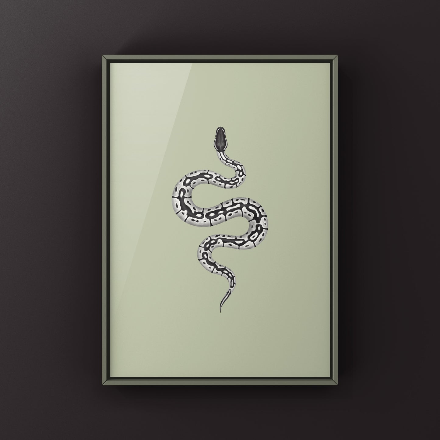 VPI Axanthic Ball Python Art Print from The Silk Ranch