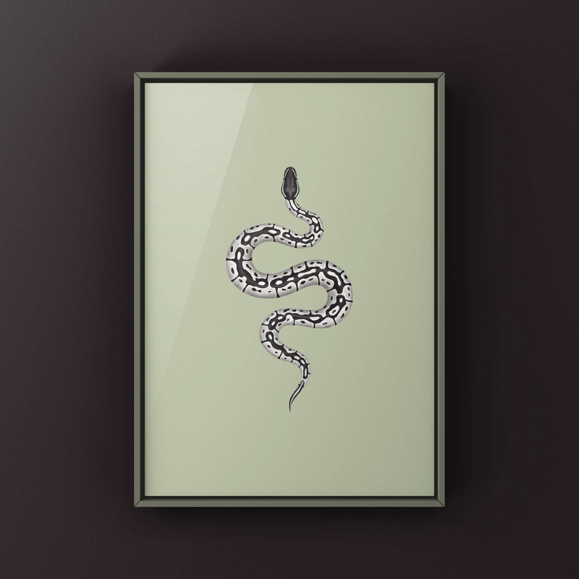 VPI Axanthic Ball Python Art Print from The Silk Ranch