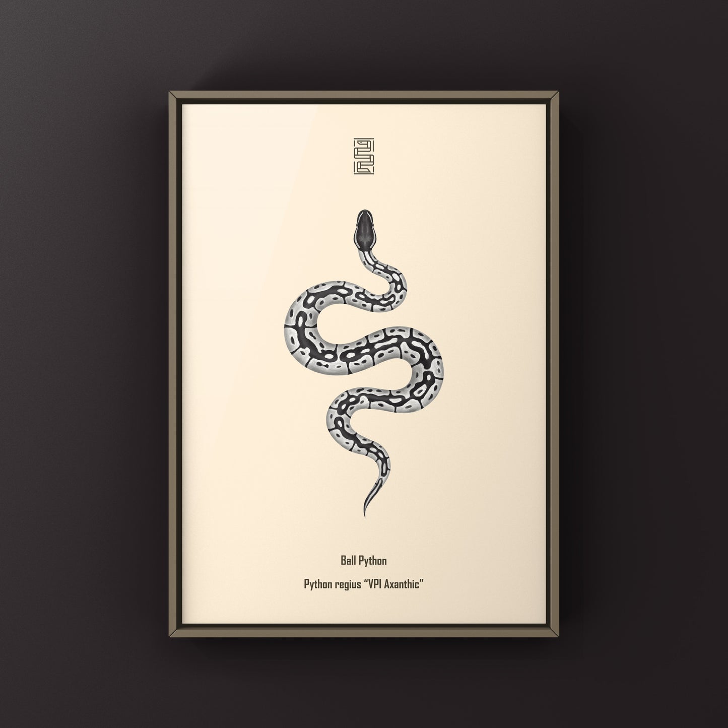 VPI Axanthic Ball Python Art Print from The Silk Ranch