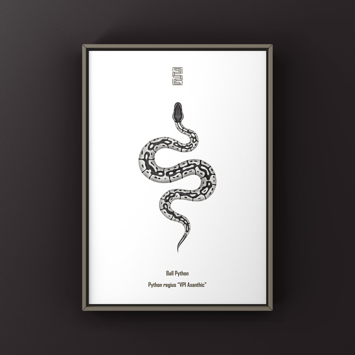 VPI Axanthic Ball Python Art Print from The Silk Ranch