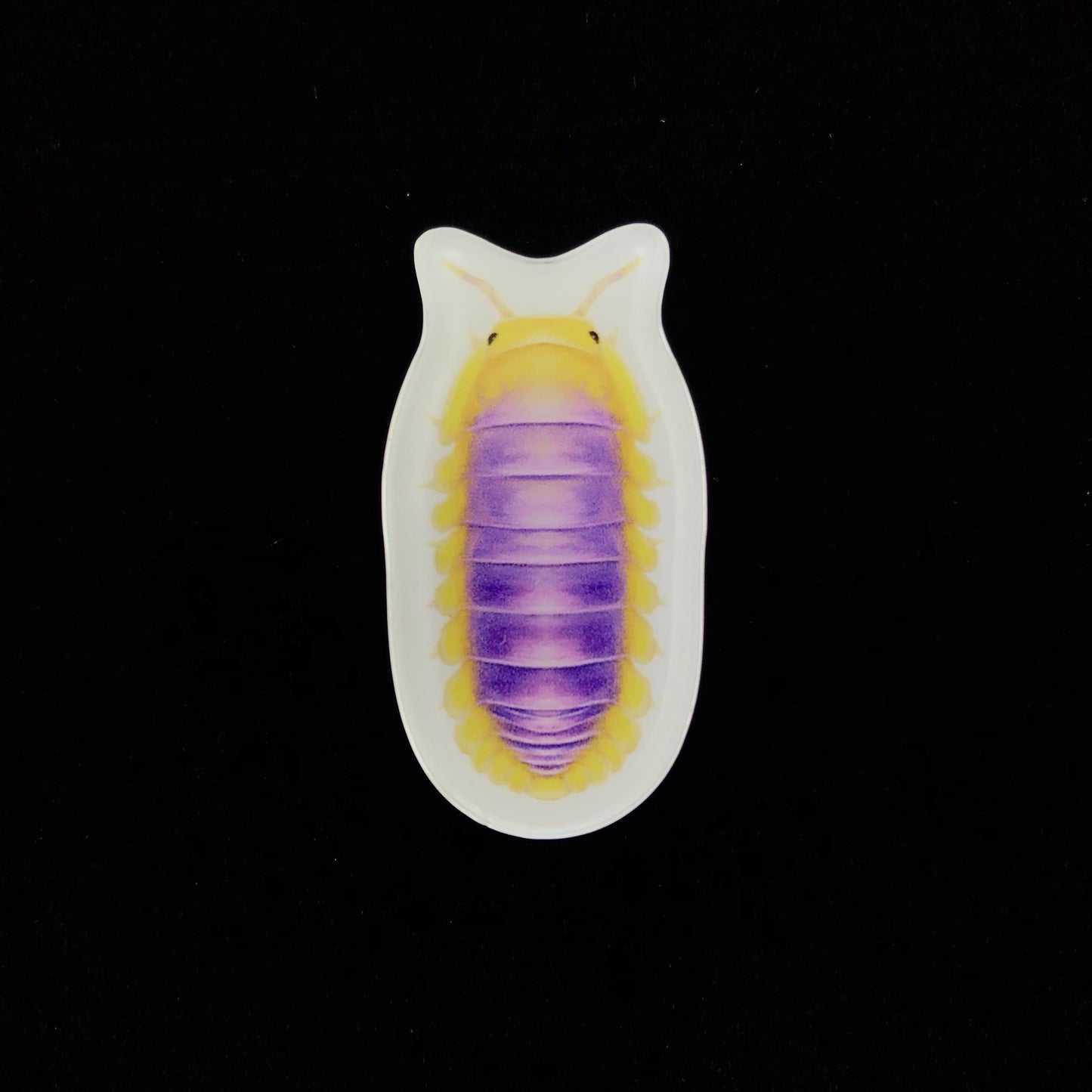 Lemon Blue Isopod Acrylic Magnet Enclosure Tag (Cubaris sp. Lemon Blue) from The Silk Ranch / The Morph Archive