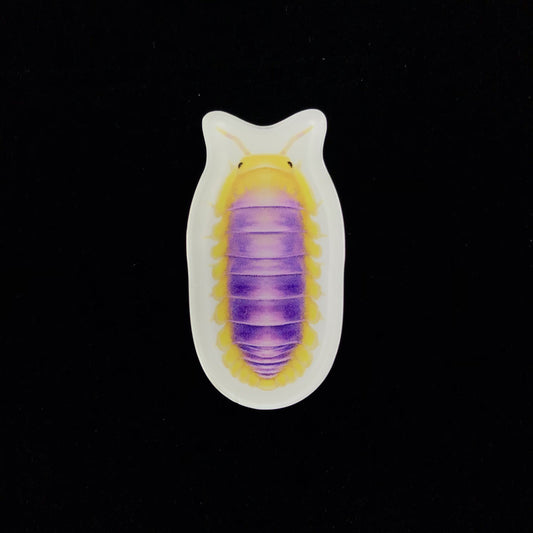 Lemon Blue Isopod Acrylic Magnet Enclosure Tag (Cubaris sp. Lemon Blue) from The Silk Ranch / The Morph Archive