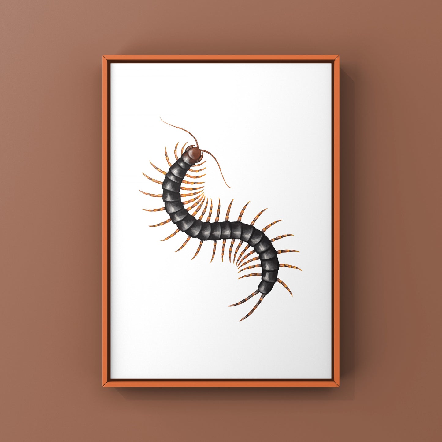 Chinese Tiger Centipede art print featuring detailed illustration of Scolopendra hainanum, showcasing vibrant colors and intricate design.
