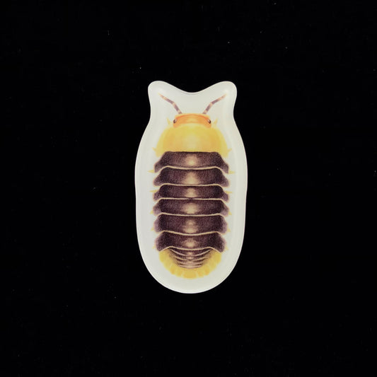 Rubber Ducky Isopod Acrylic Magnet Enclosure Tag (Cubaris sp. Rubber Ducky) from The Silk Ranch / The Morph Archive