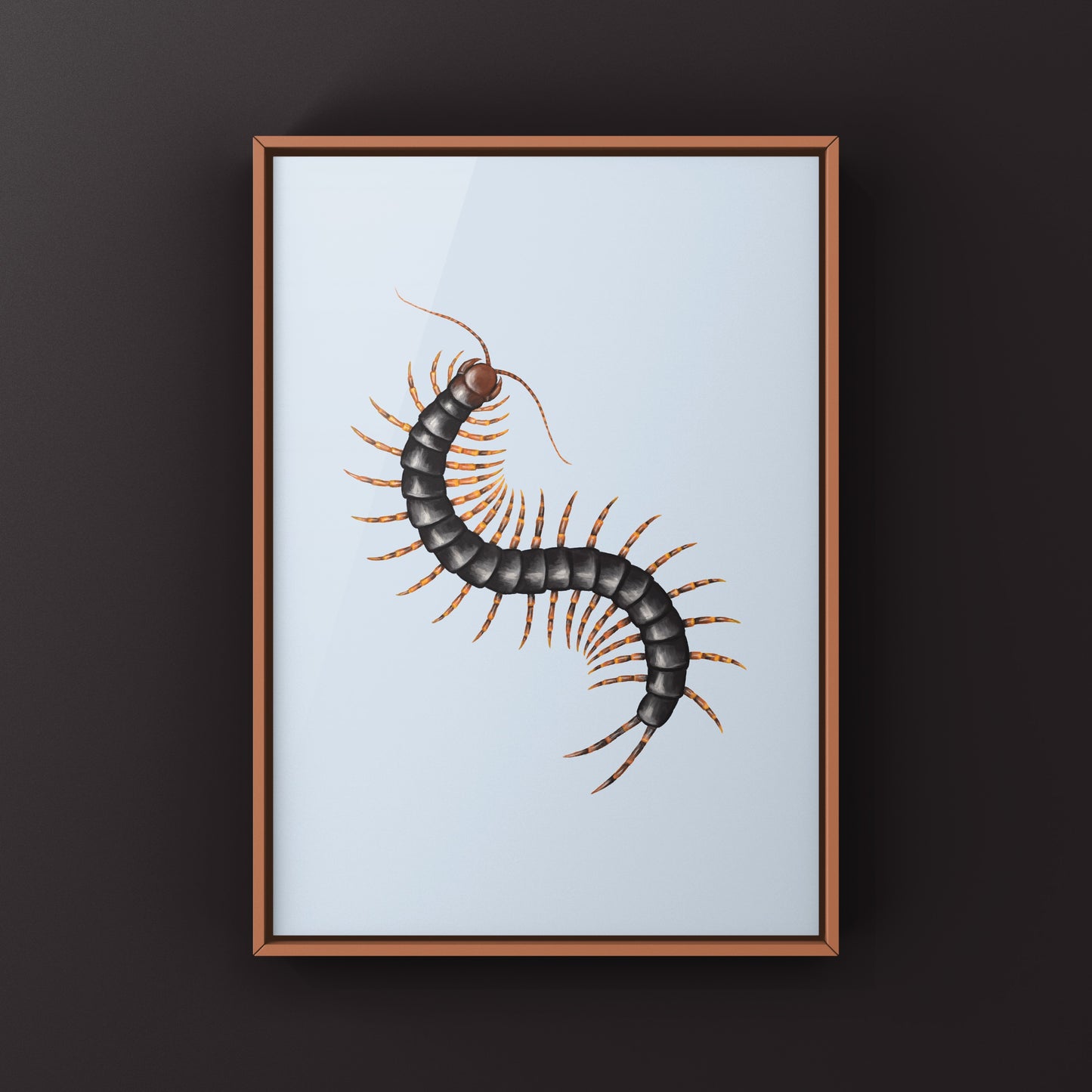 Detailed art print of a Chinese Tiger Centipede (Scolopendra hainanum) showcasing its vibrant colors and segmented body.