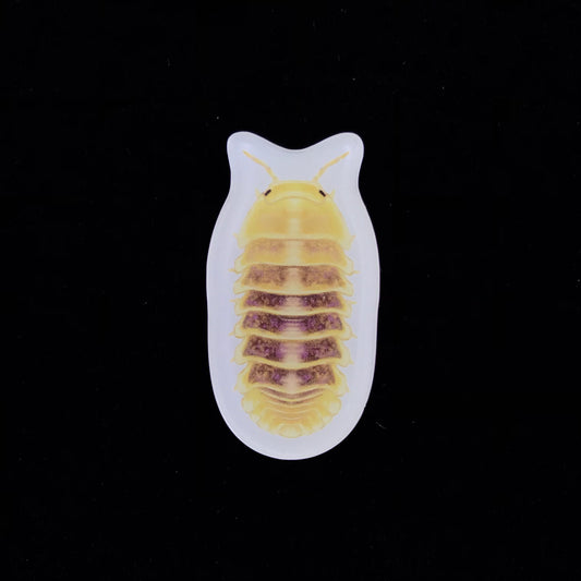 Jupiter Isopod Acrylic Magnet Enclosure Tag (Cubaris sp. Jupiter) from The Silk Ranch / The Morph Archive