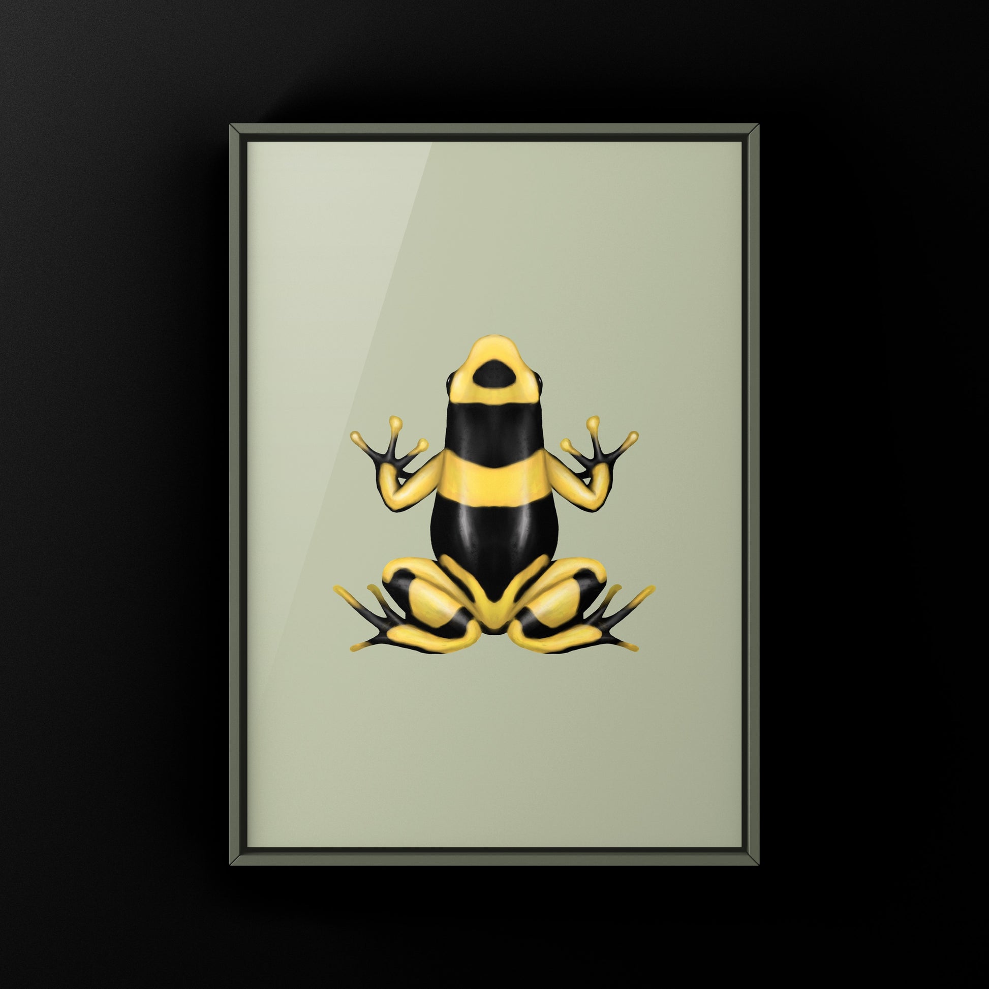 Banded British Guyana Poison Dart Frog (Dendrobates leucomelas) Art Print from The Silk Ranch