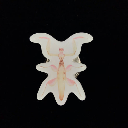 Orchid Mantis Acrylic Magnet Enclosure Tag (Hymenopus coronatus) from The Silk Ranch / The Morph Archive