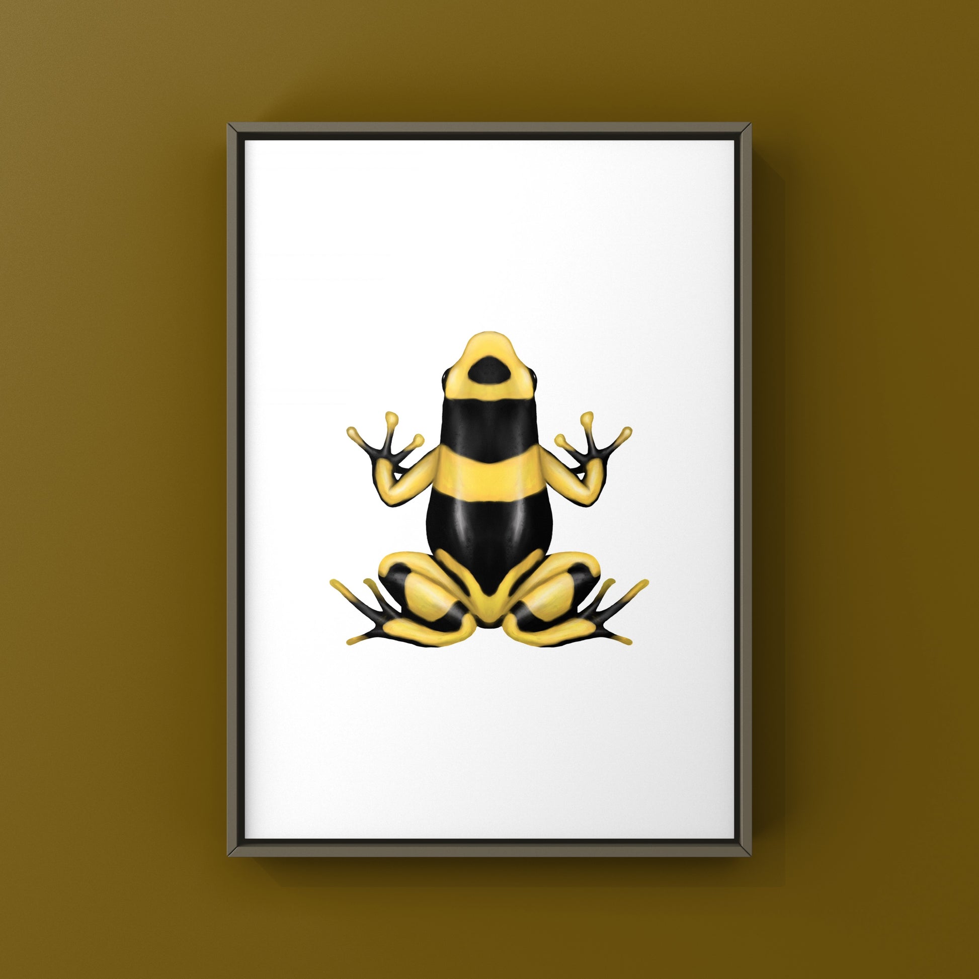 Banded British Guyana Poison Dart Frog (Dendrobates leucomelas) Art Print from The Silk Ranch