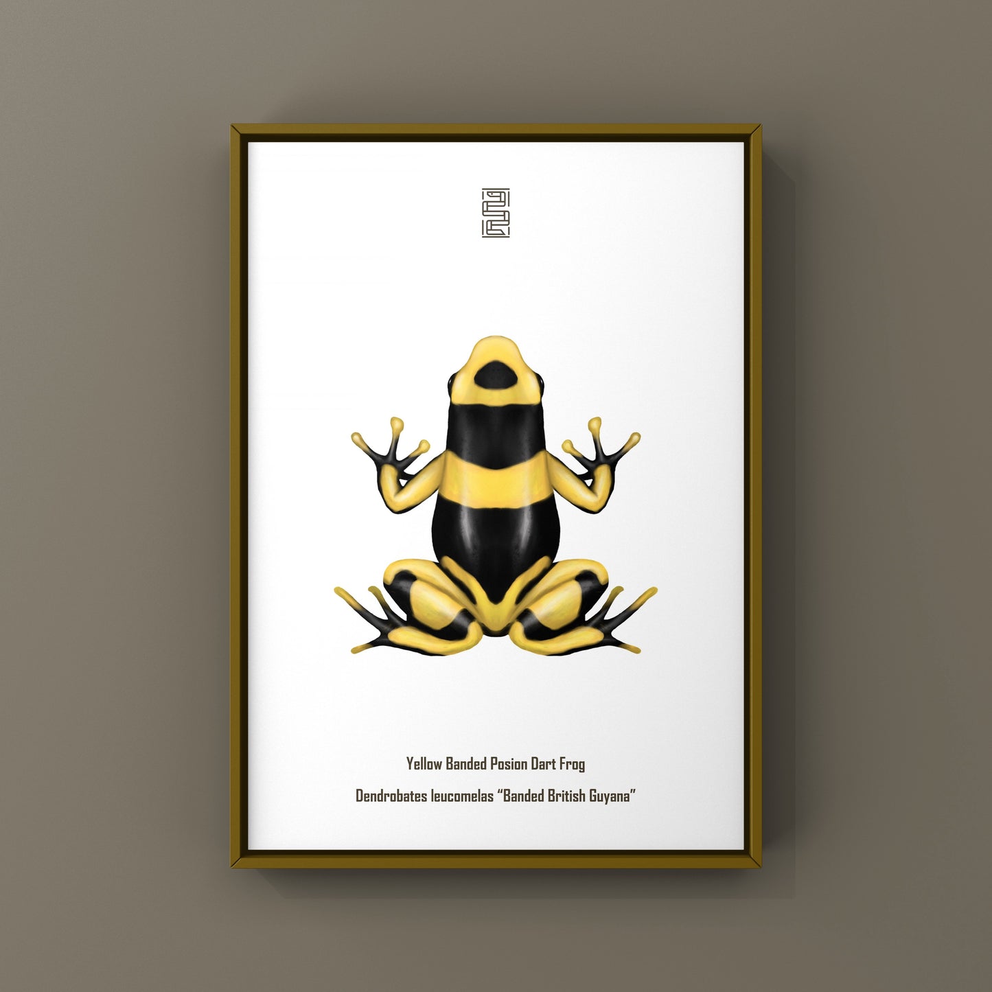 Banded British Guyana Poison Dart Frog (Dendrobates leucomelas) Art Print from The Silk Ranch