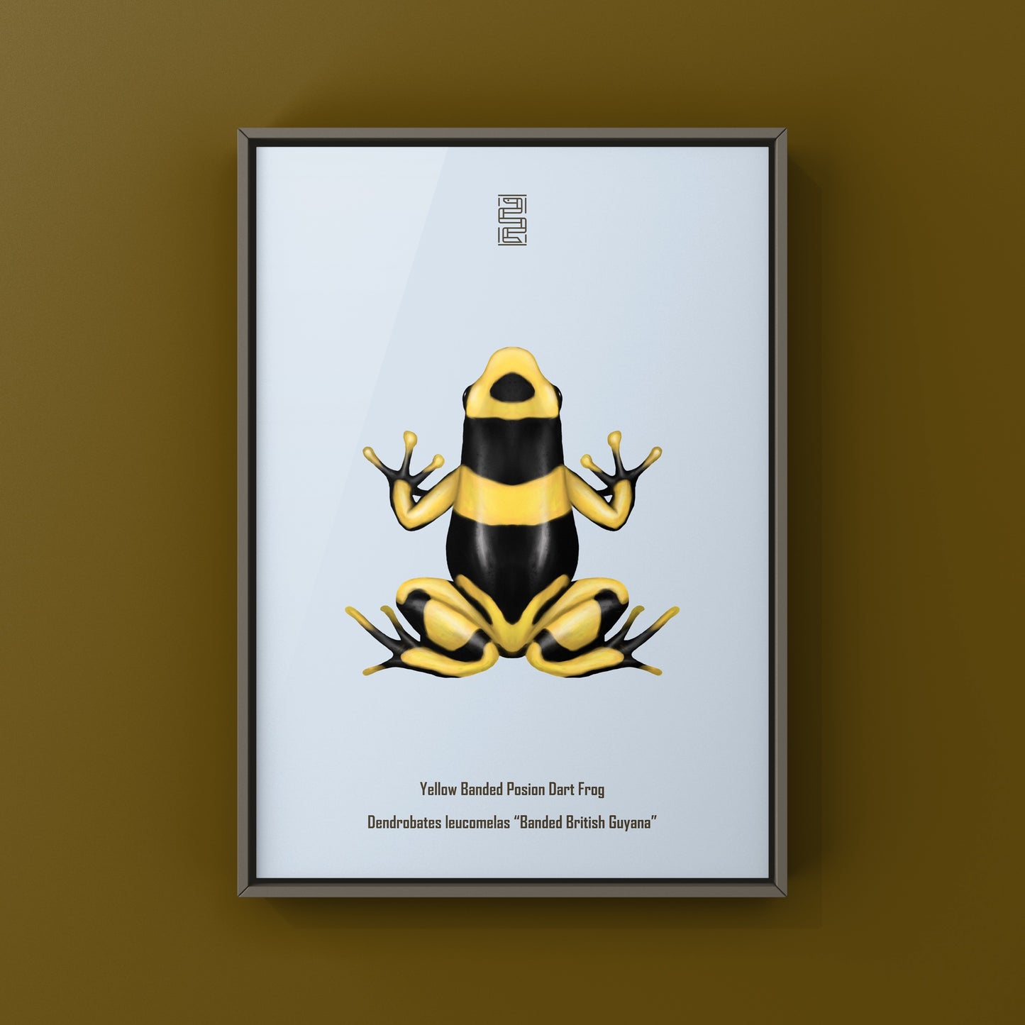 Banded British Guyana Poison Dart Frog (Dendrobates leucomelas) Art Print from The Silk Ranch