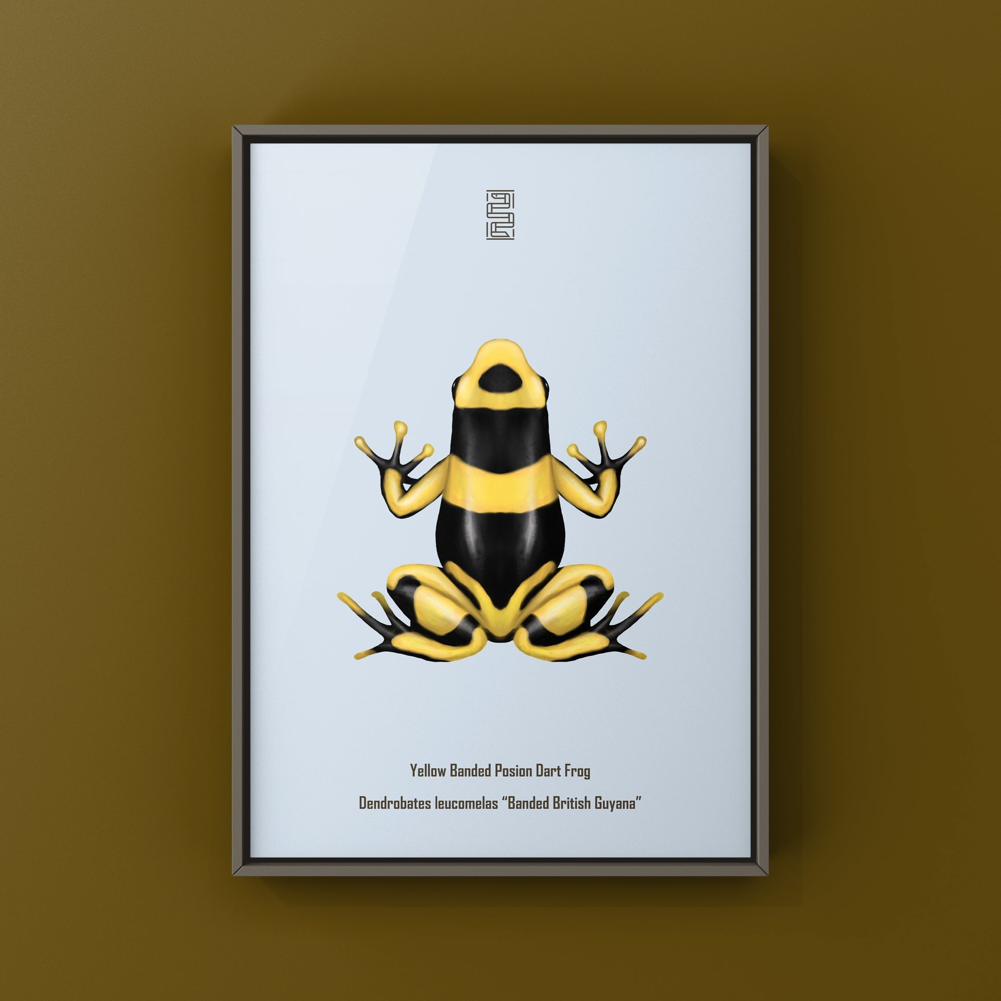 Banded British Guyana Poison Dart Frog (Dendrobates leucomelas) Art Print from The Silk Ranch